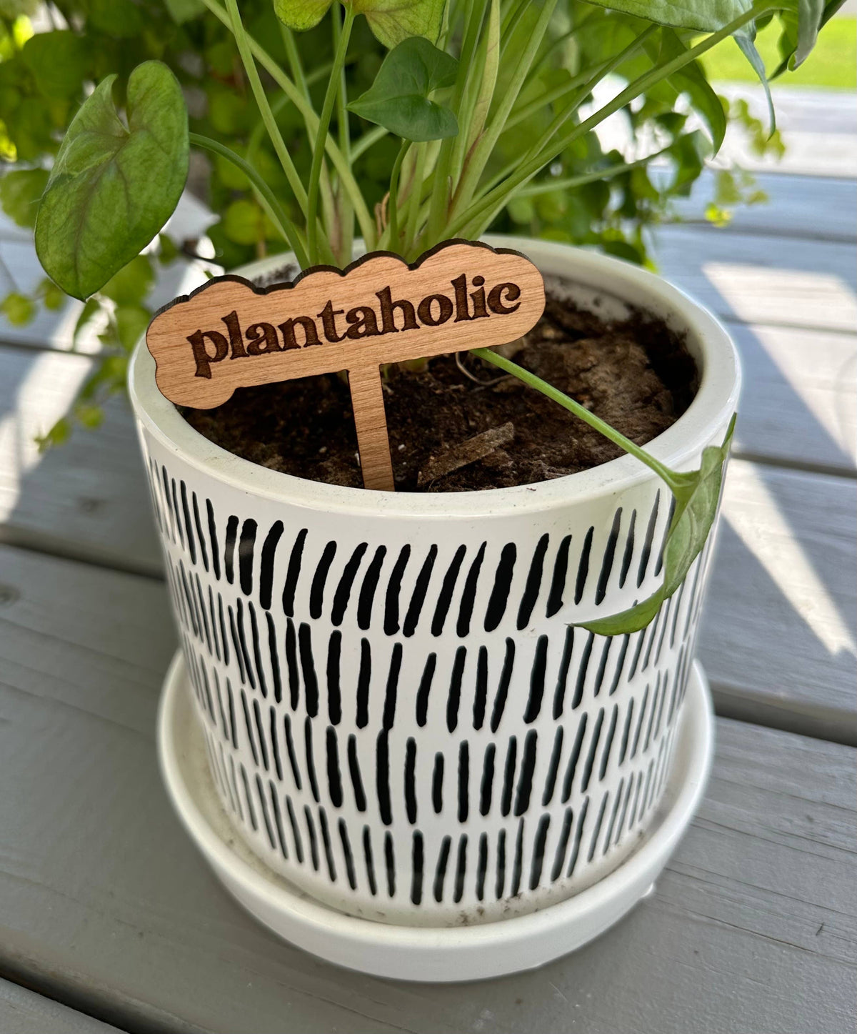 Punny Plant Stake: Thrives on neglect