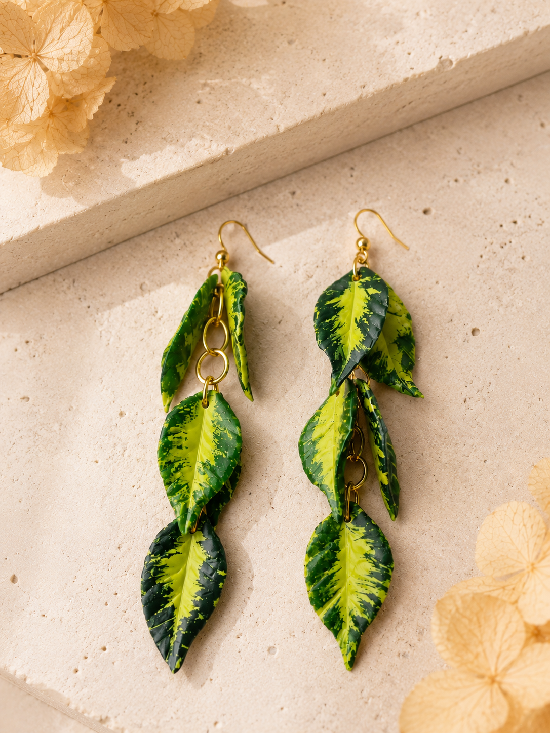 Hoya Polyneura Dangle #2