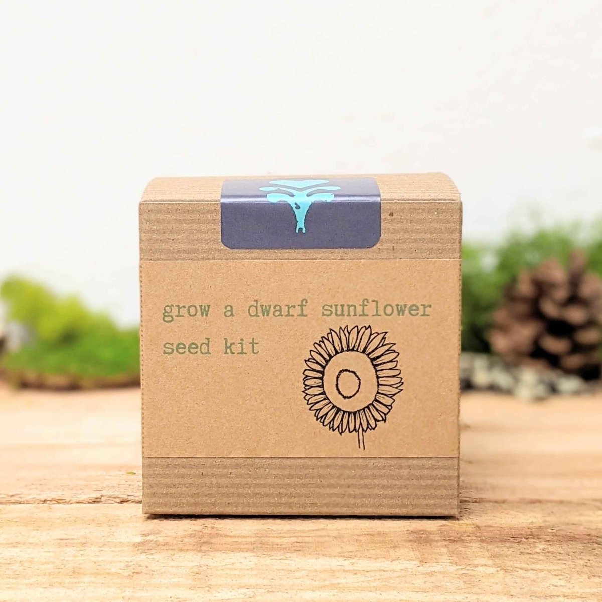 Dwarf Sunflower Beginner Grow Kit, photo 6