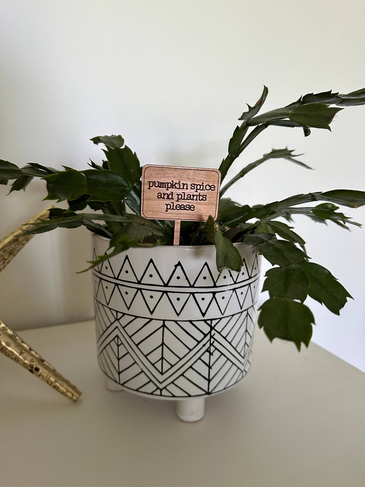 Fall Halloween Wood Plant Sticks Signs: Its Fall Y'all