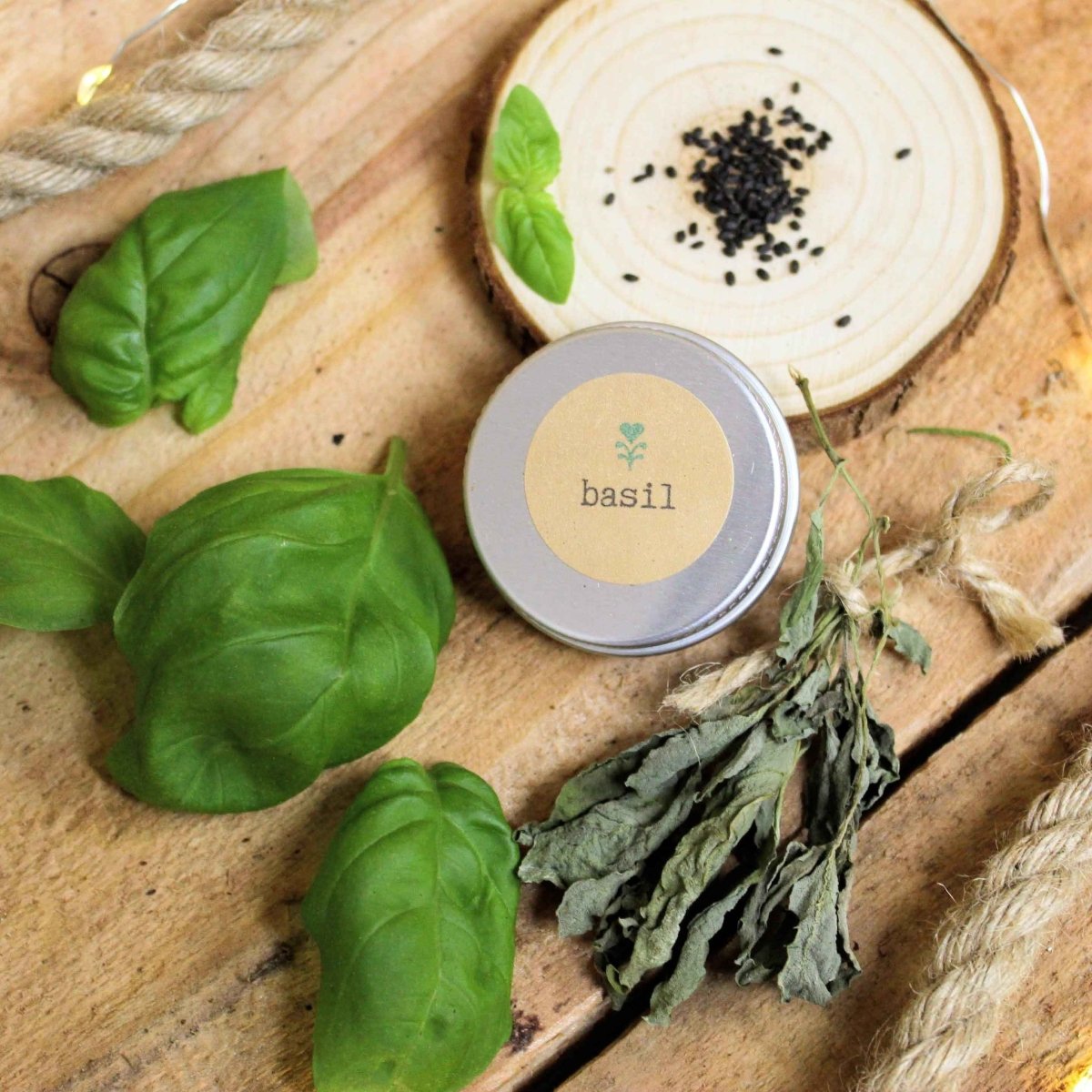 Grow a Basil Plant Seed Kit, photo 4
