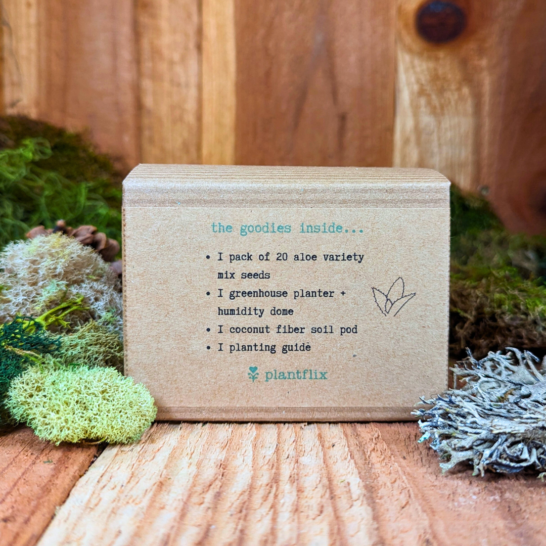 Grow an Aloe Plant Seed Kit, photo 5