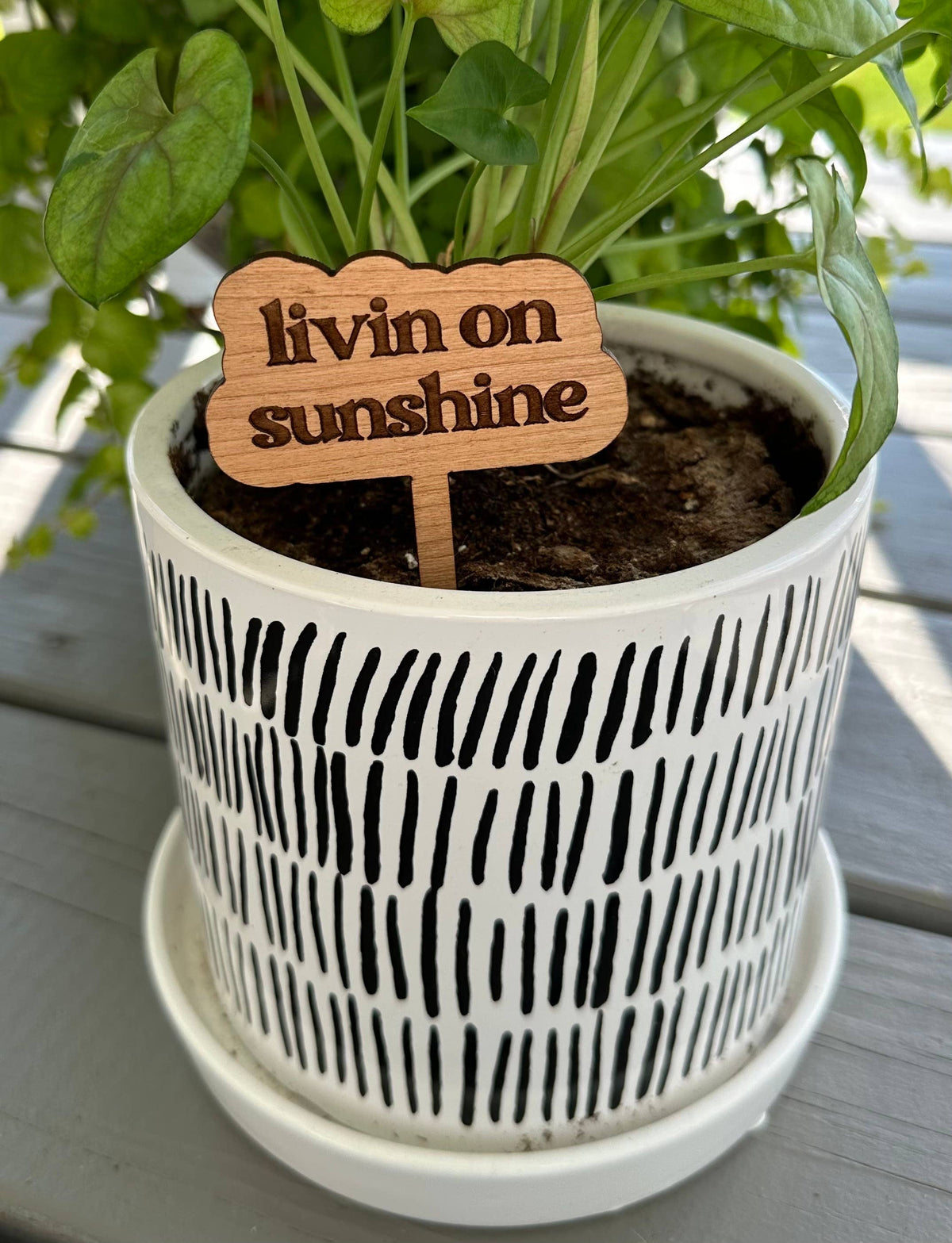 Punny Plant Stake: Thrives on neglect