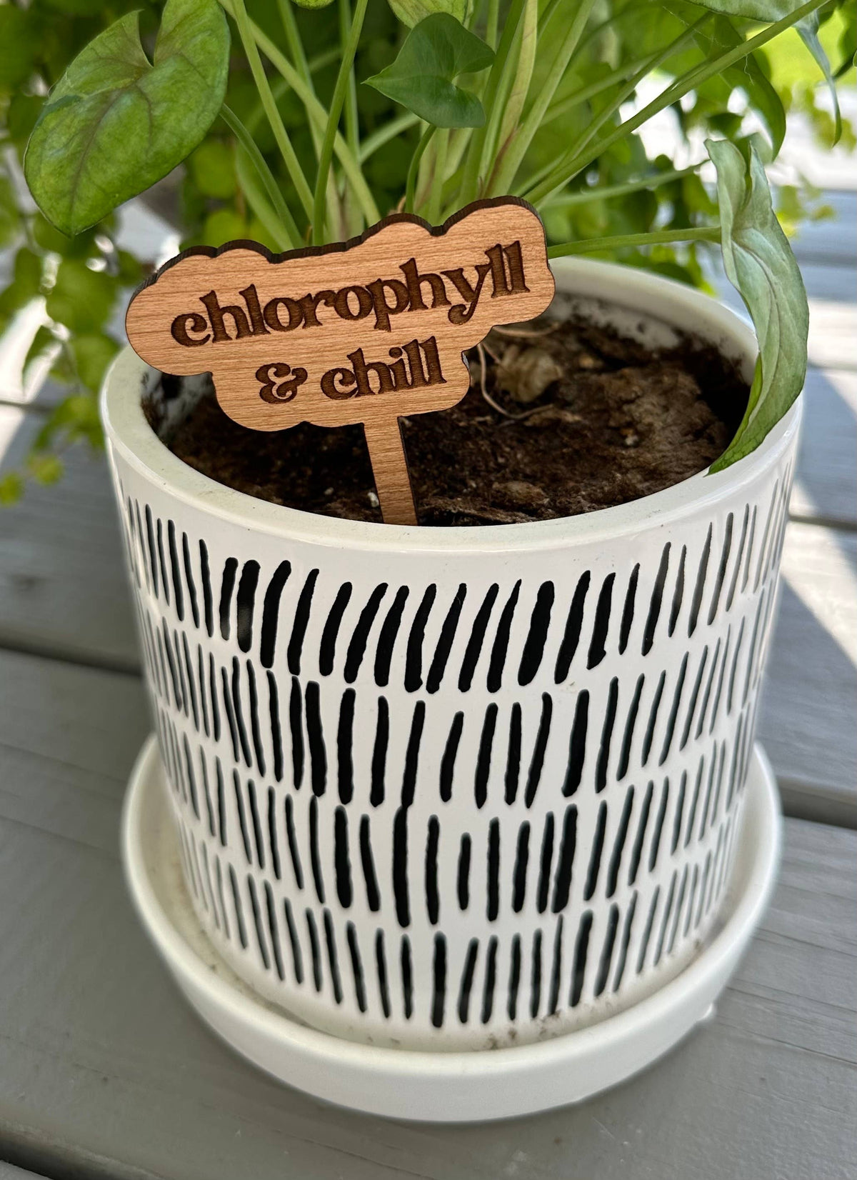 Punny Plant Stake: Thrives on neglect