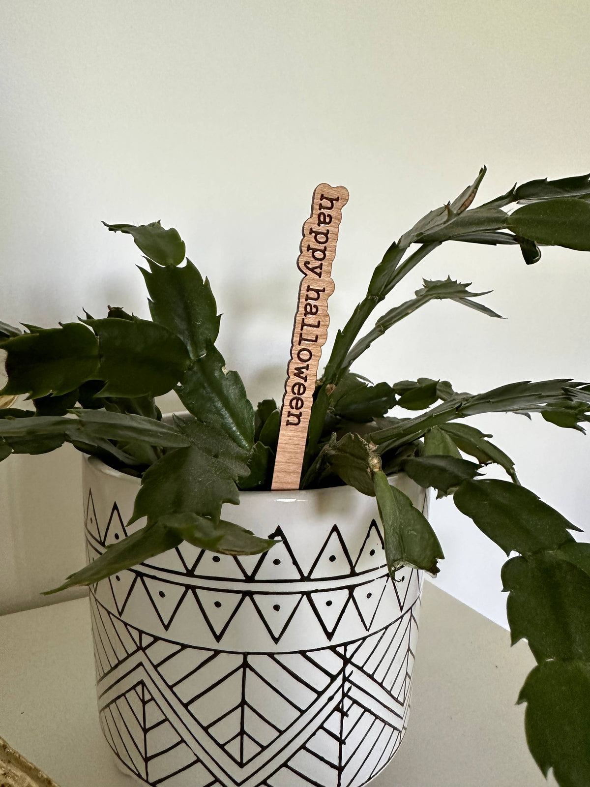 Fall Halloween Wood Plant Sticks Signs: Its Fall Y'all