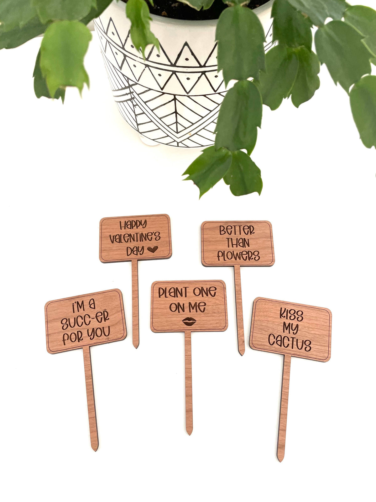 Valentines Day Funny Plant Signs: Better Than Flowers