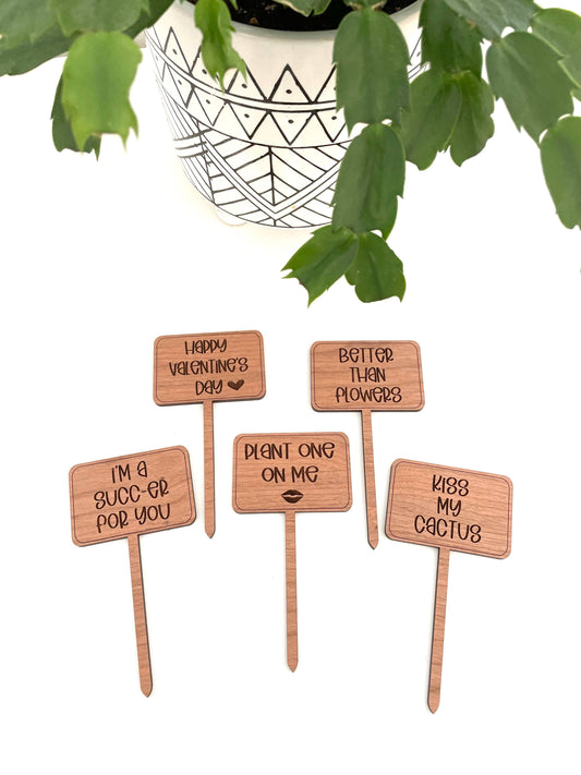 Valentines Day Funny Plant Signs: Better Than Flowers