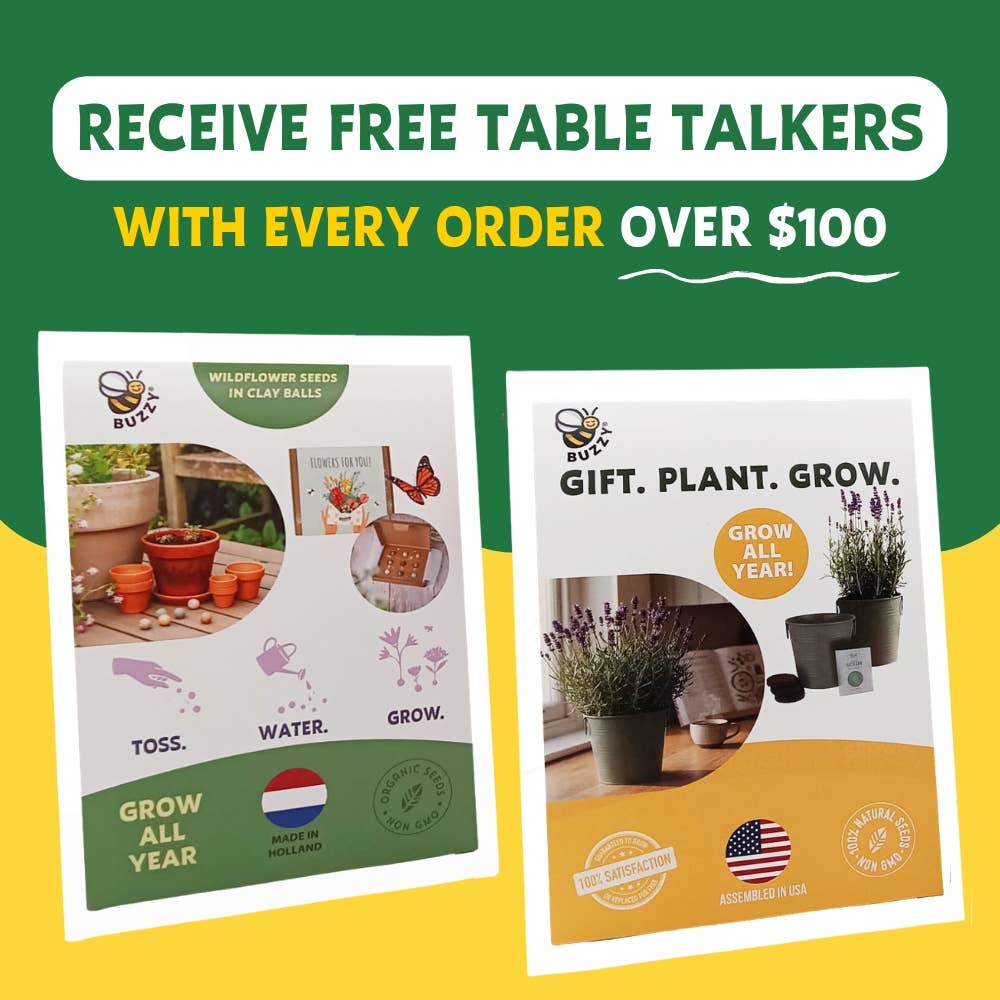 Sensitive Plant Grow Kit- Mimosa Pudica