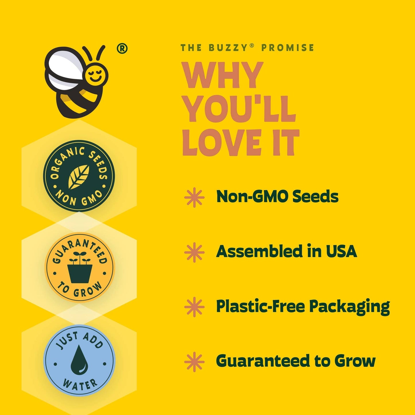 Sensitive Plant Grow Kit- Mimosa Pudica
