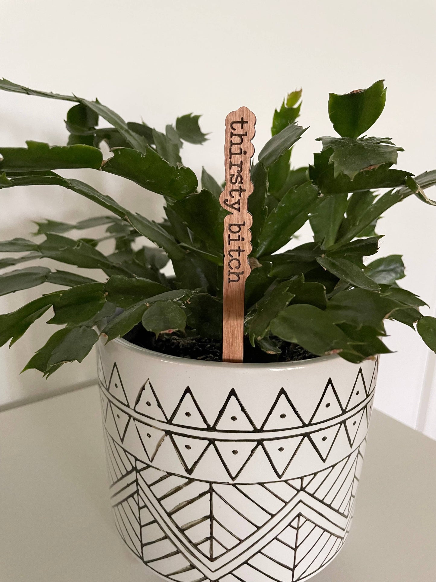Punny Plant Stake: Not dead yet