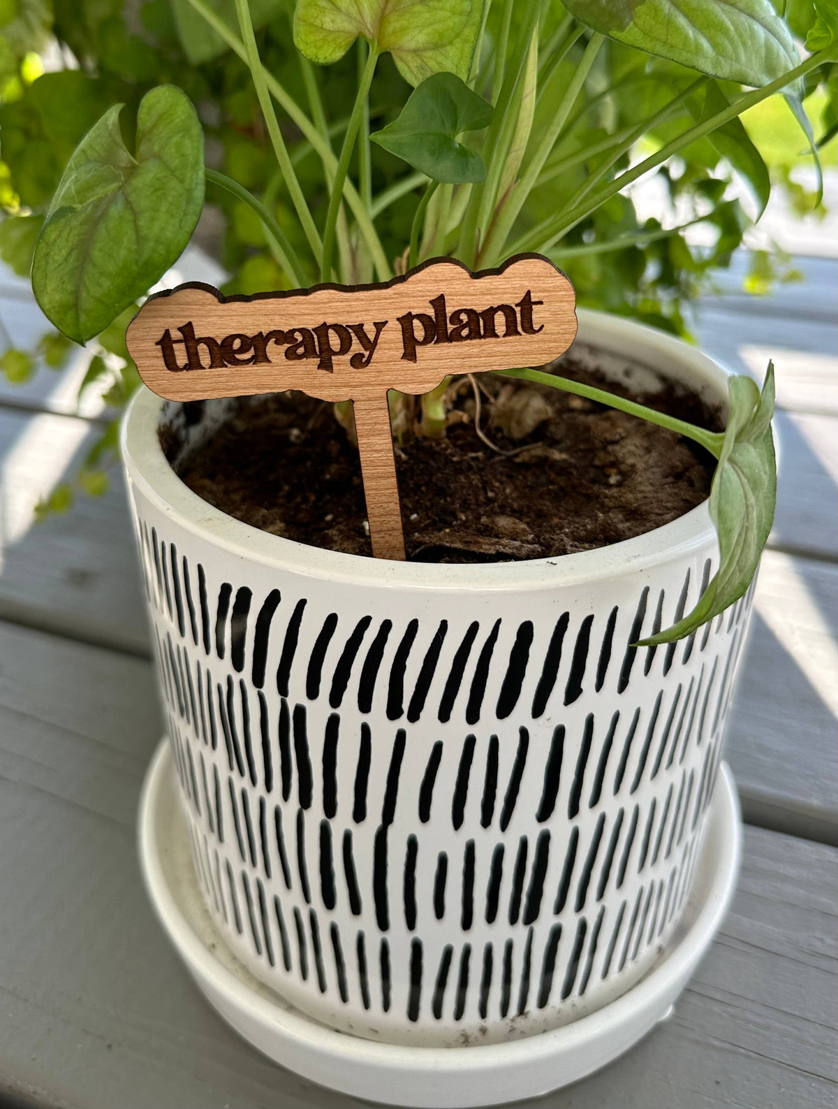 Punny Plant Stake: Thrives on neglect