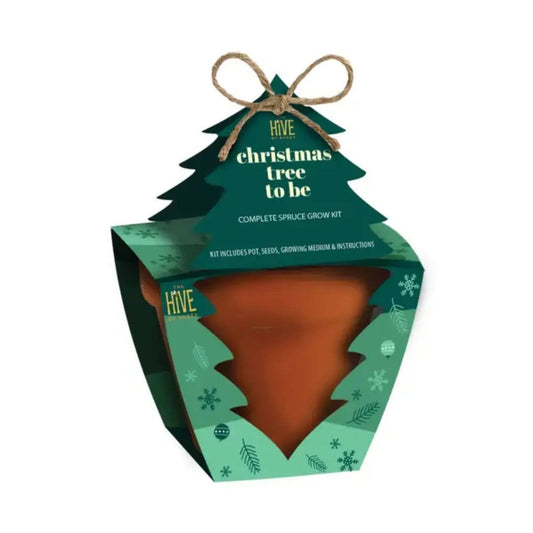 Holiday Spruce Tree Grow Kit