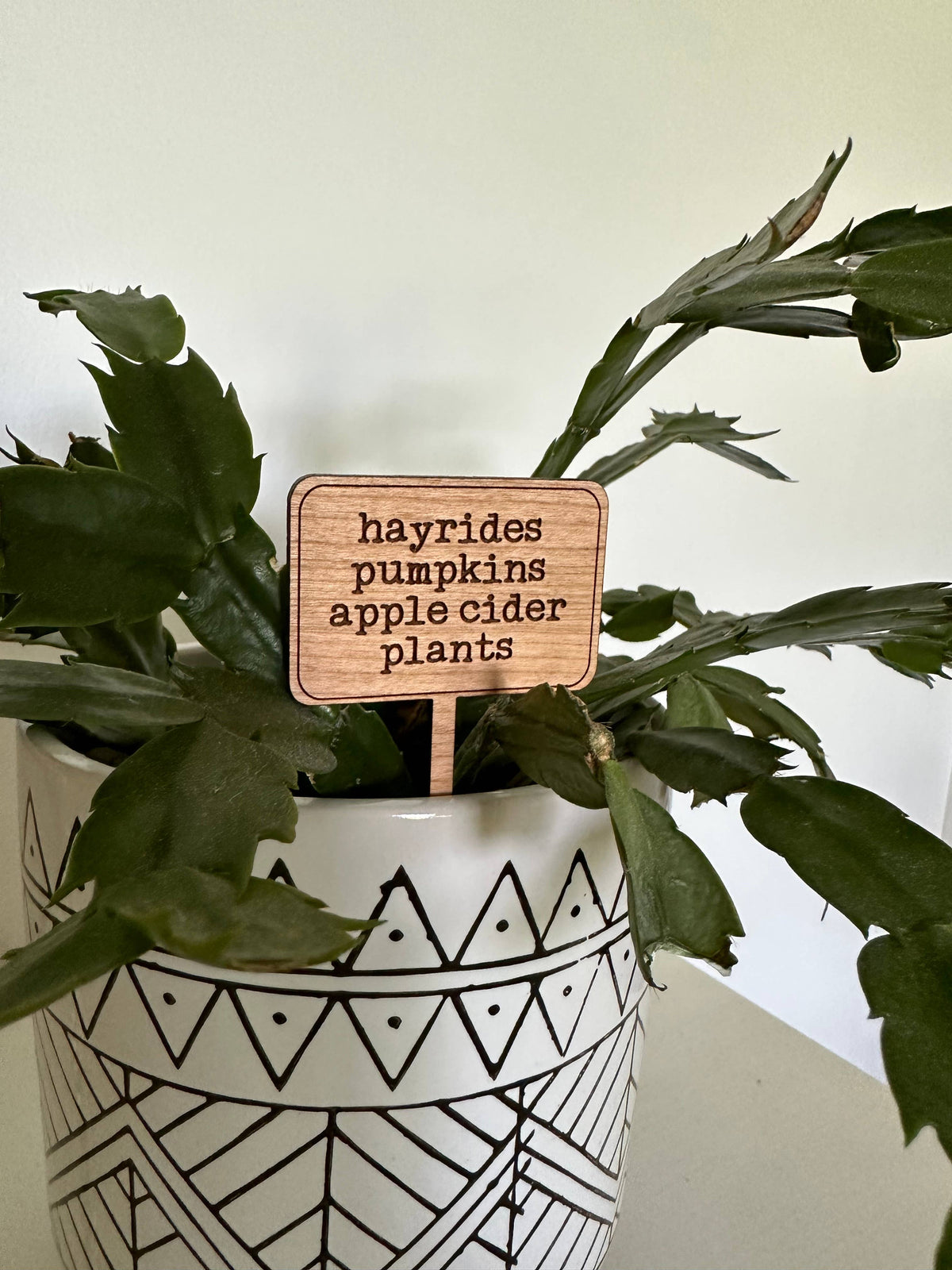 Fall Halloween Wood Plant Sticks Signs: Its Fall Y'all