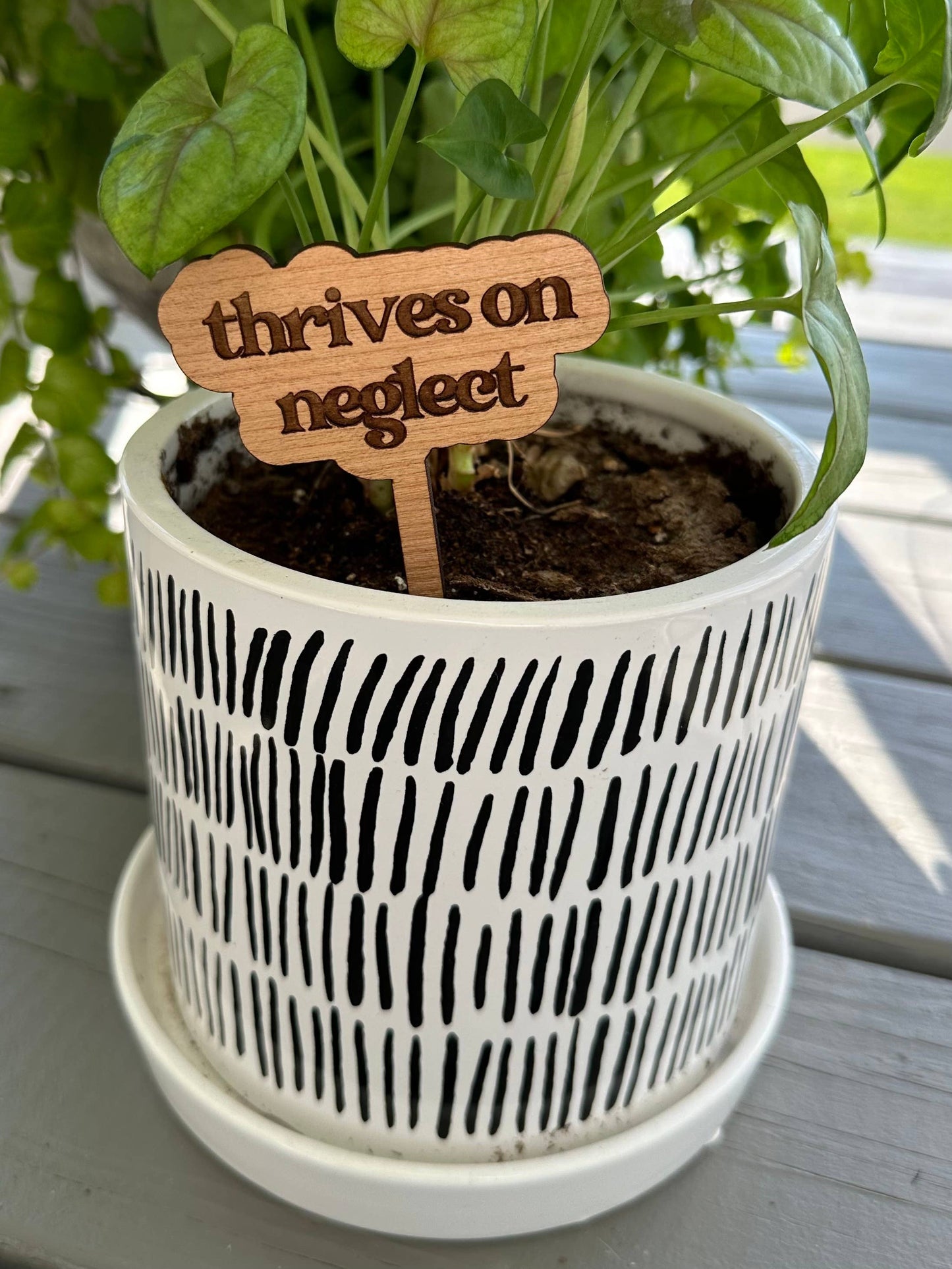 Punny Plant Stake: Day drinker