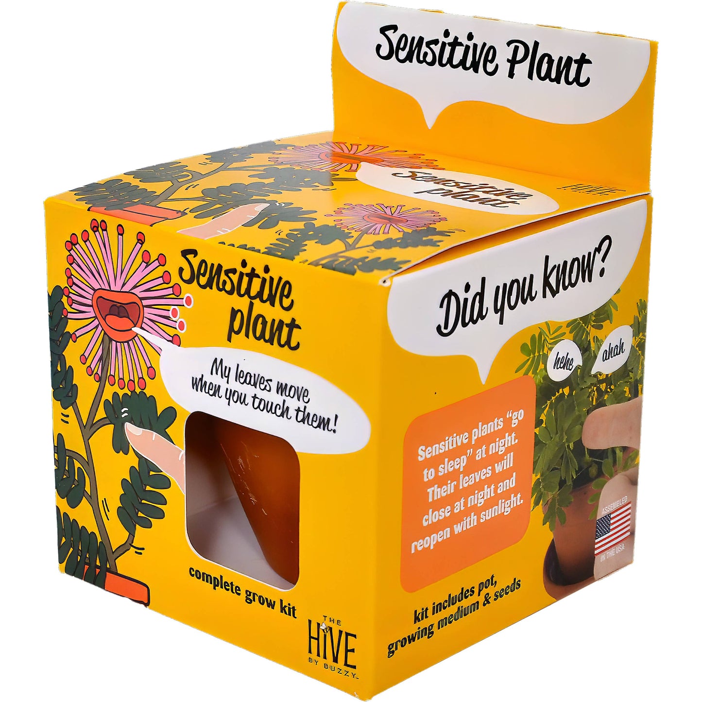 Sensitive Plant Grow Kit- Mimosa Pudica