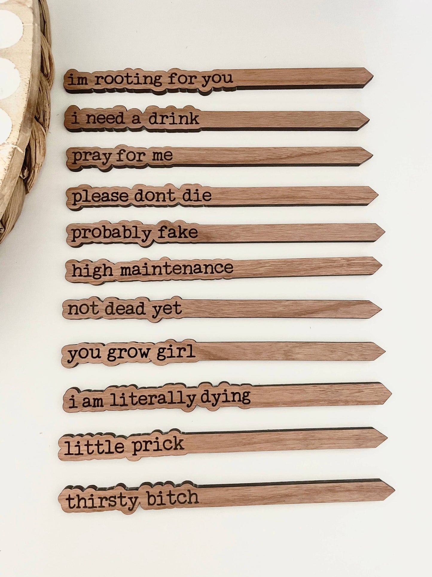 Punny Plant Stake: Please don't die