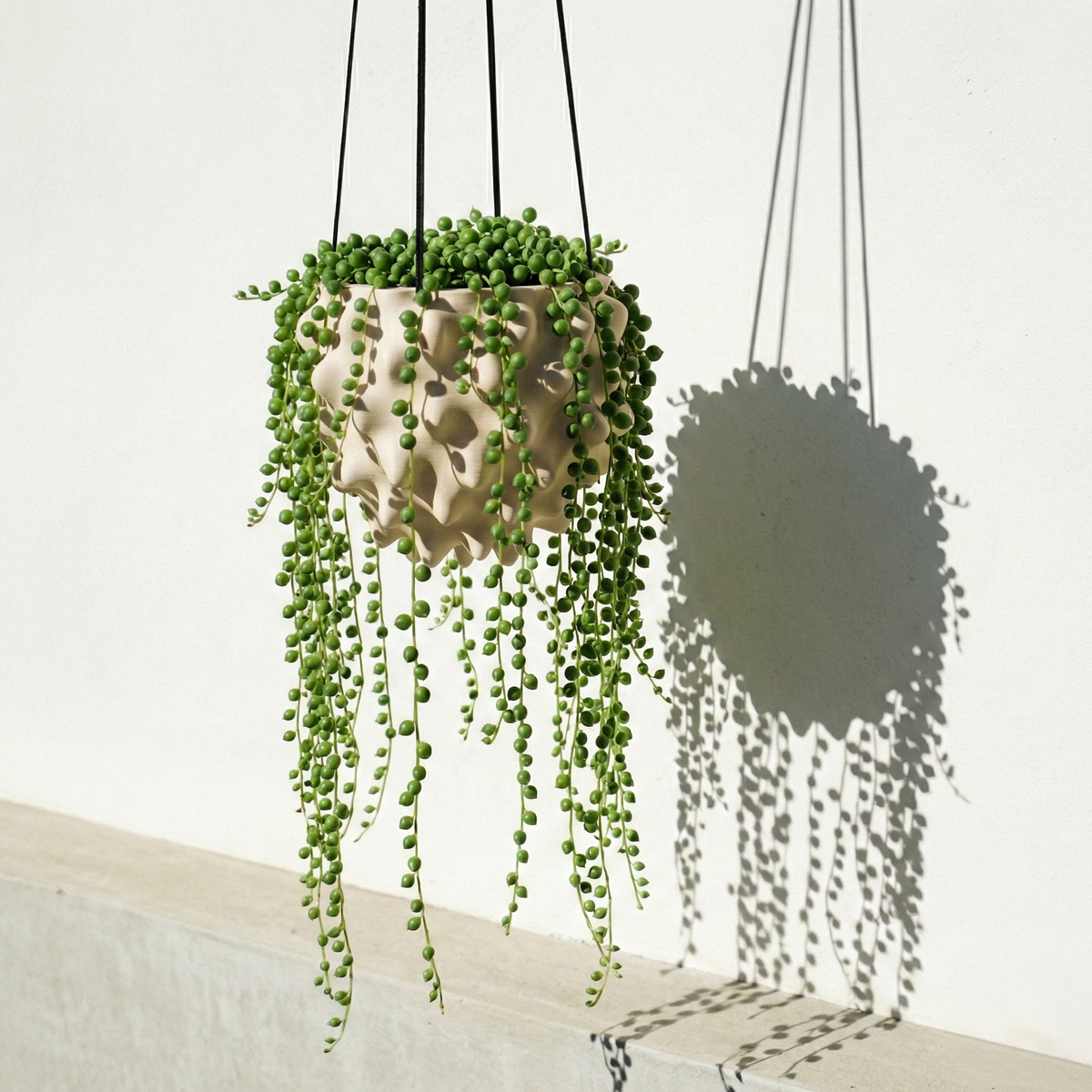 The Creature Orb Hanging Planter Pot With Drainage