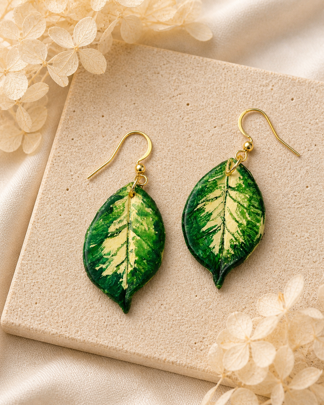 Hoya Polyneura Dangle #1