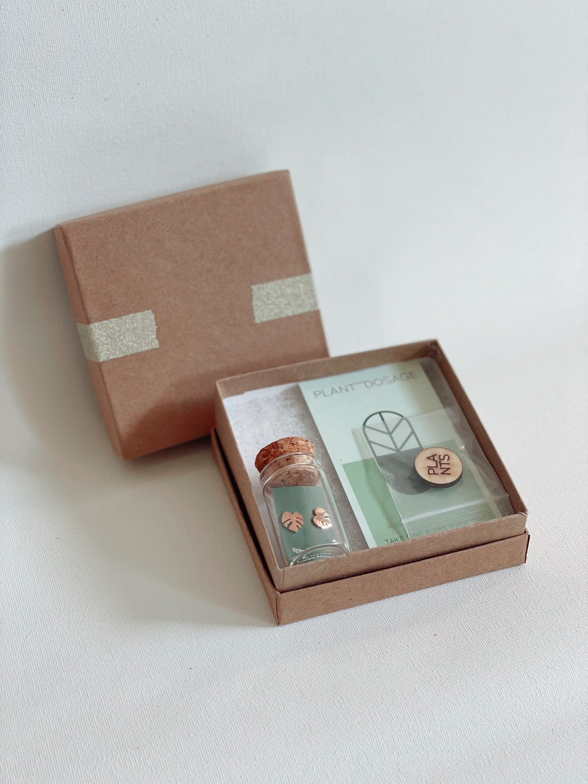 Rhaphidophora Decursiva Metal Stud Earrings