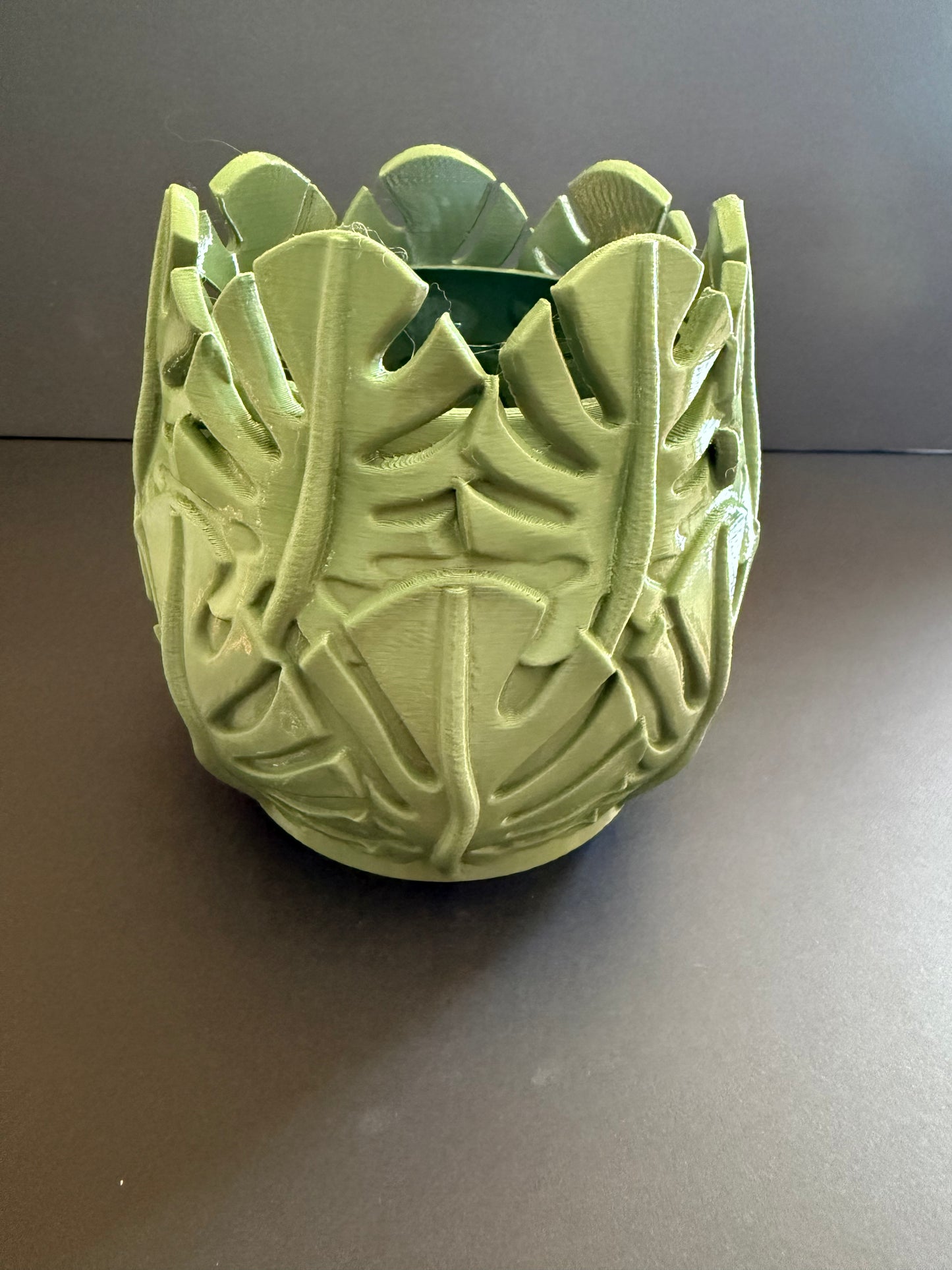 Monstera Pot