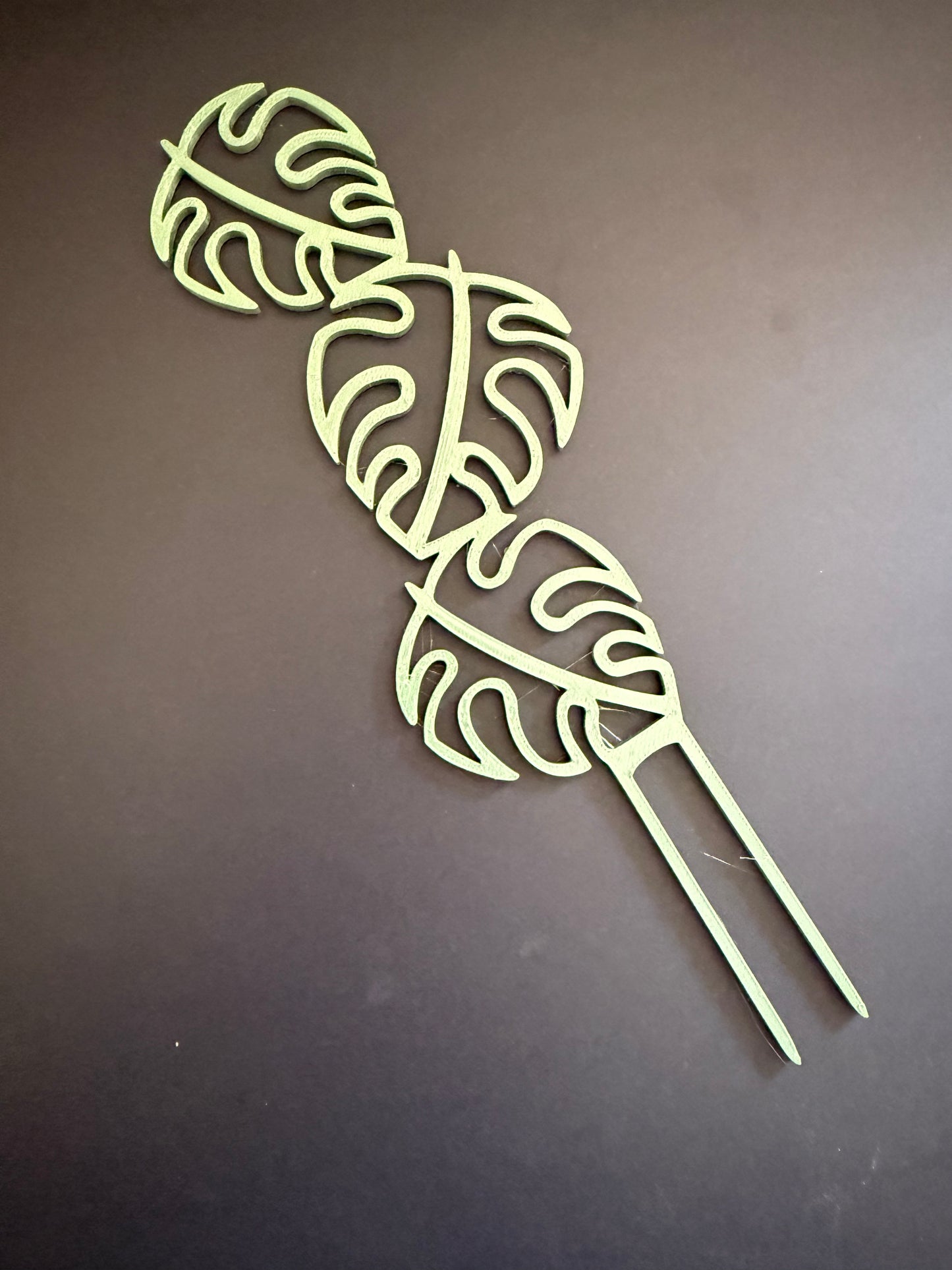Monstera Trellis
