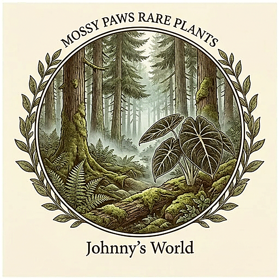 Mossy Paws Candle | Johnny's World – Tranquil Woods, 8 oz