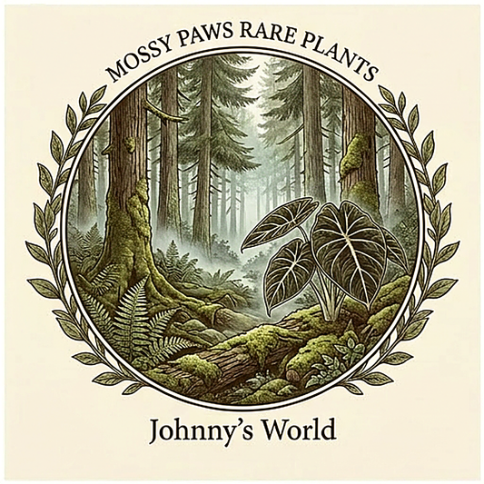 Mossy Paws Candle | Johnny's World – Tranquil Woods, 8 oz