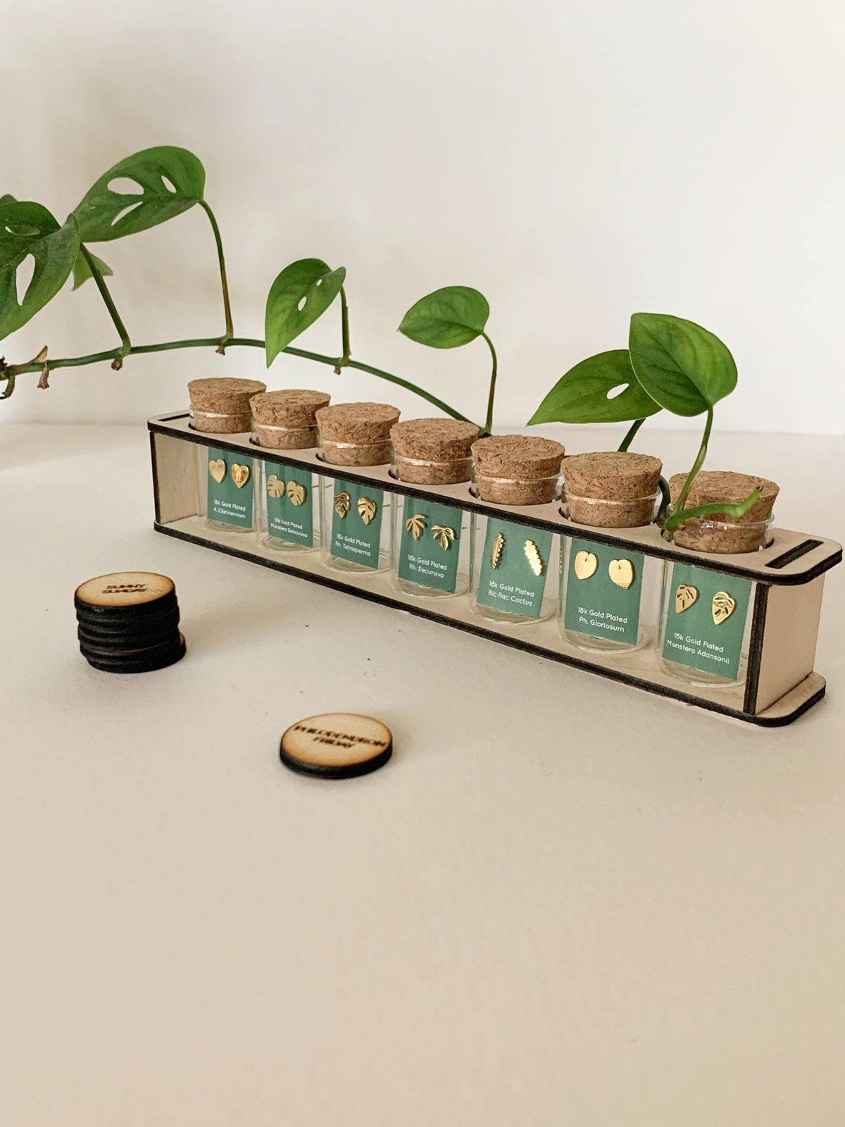 Custom Etched Propagation Stand + 3 Set Tiny Houseplant Earring Studs