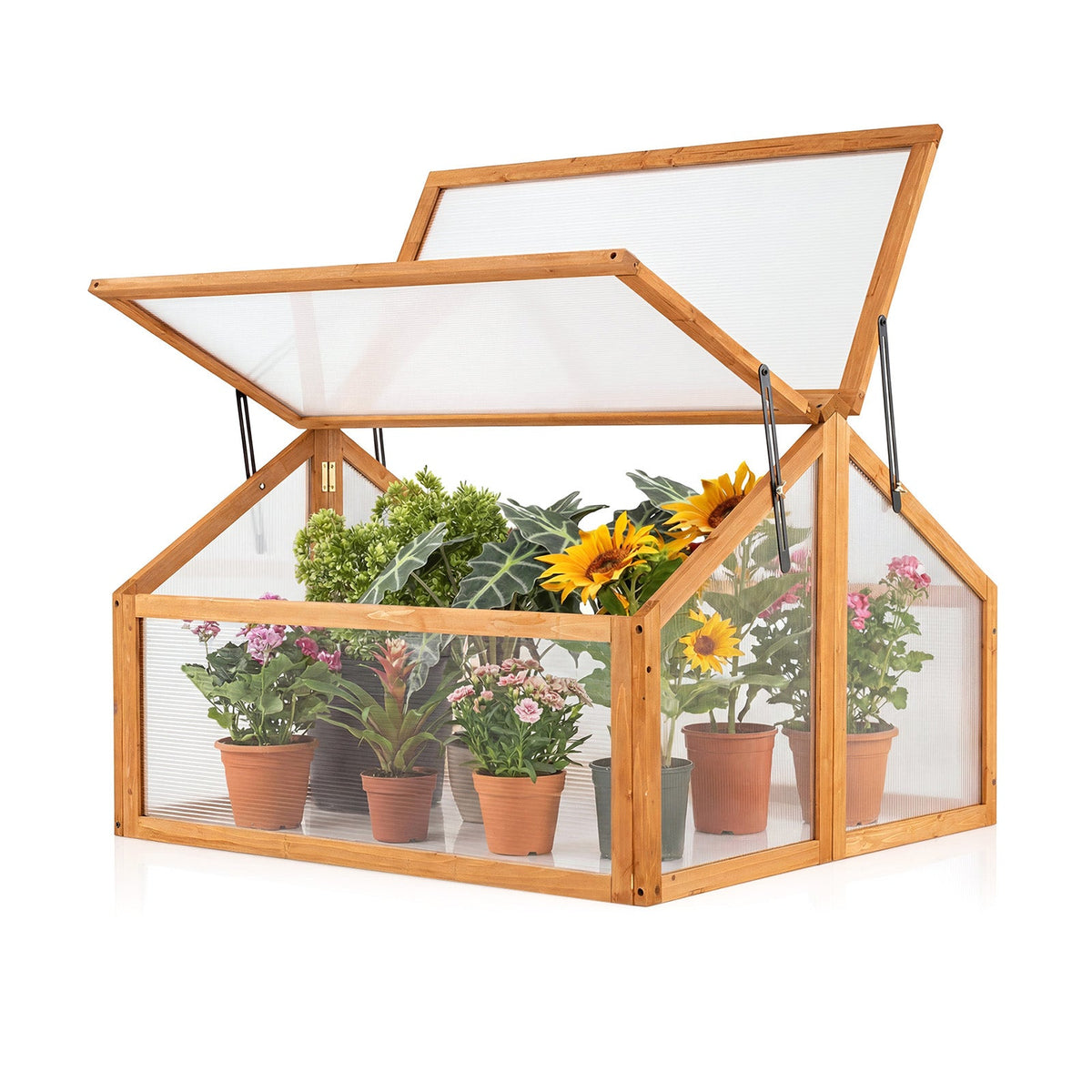 Wood Cold Frame Greenhouse with Openable Roof