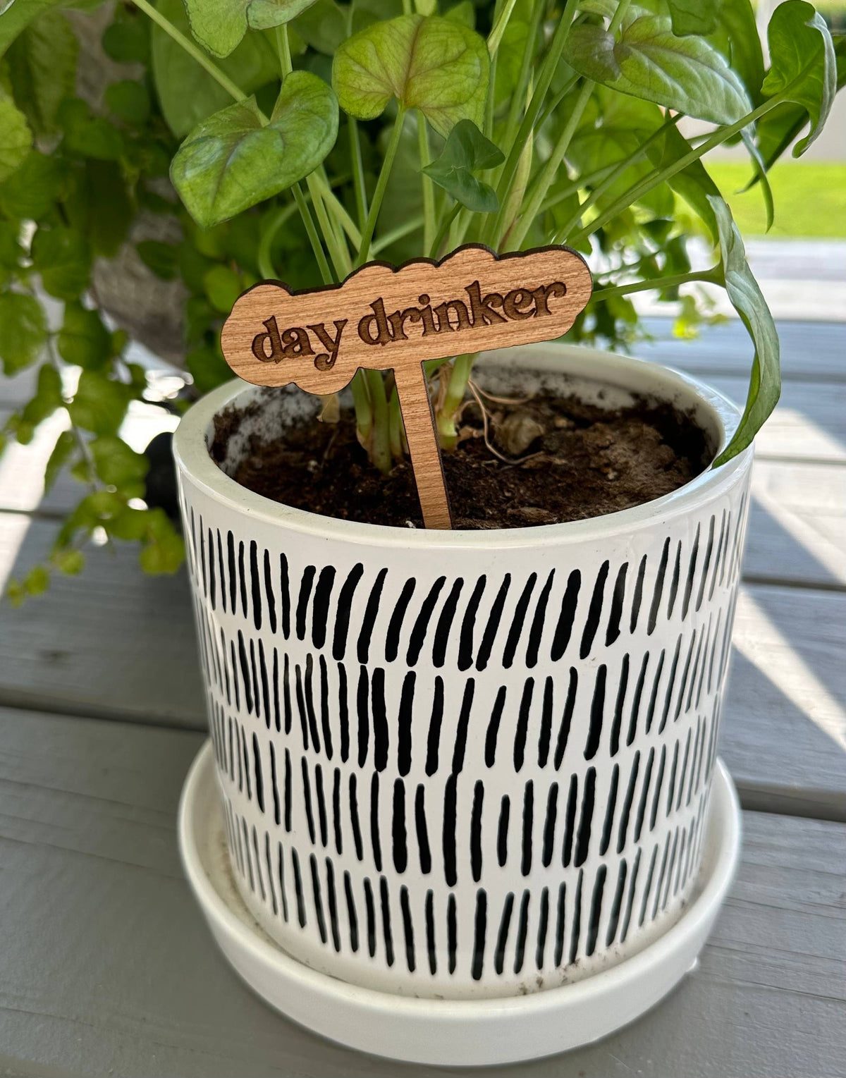 Punny Plant Stake: Day drinker