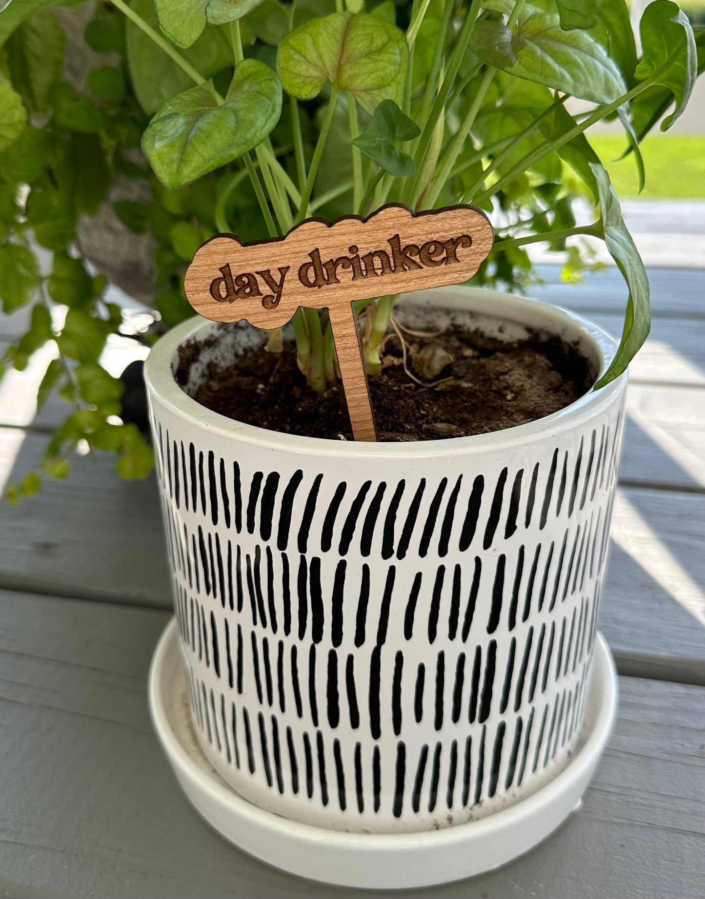 Punny Plant Stake: Thrives on neglect