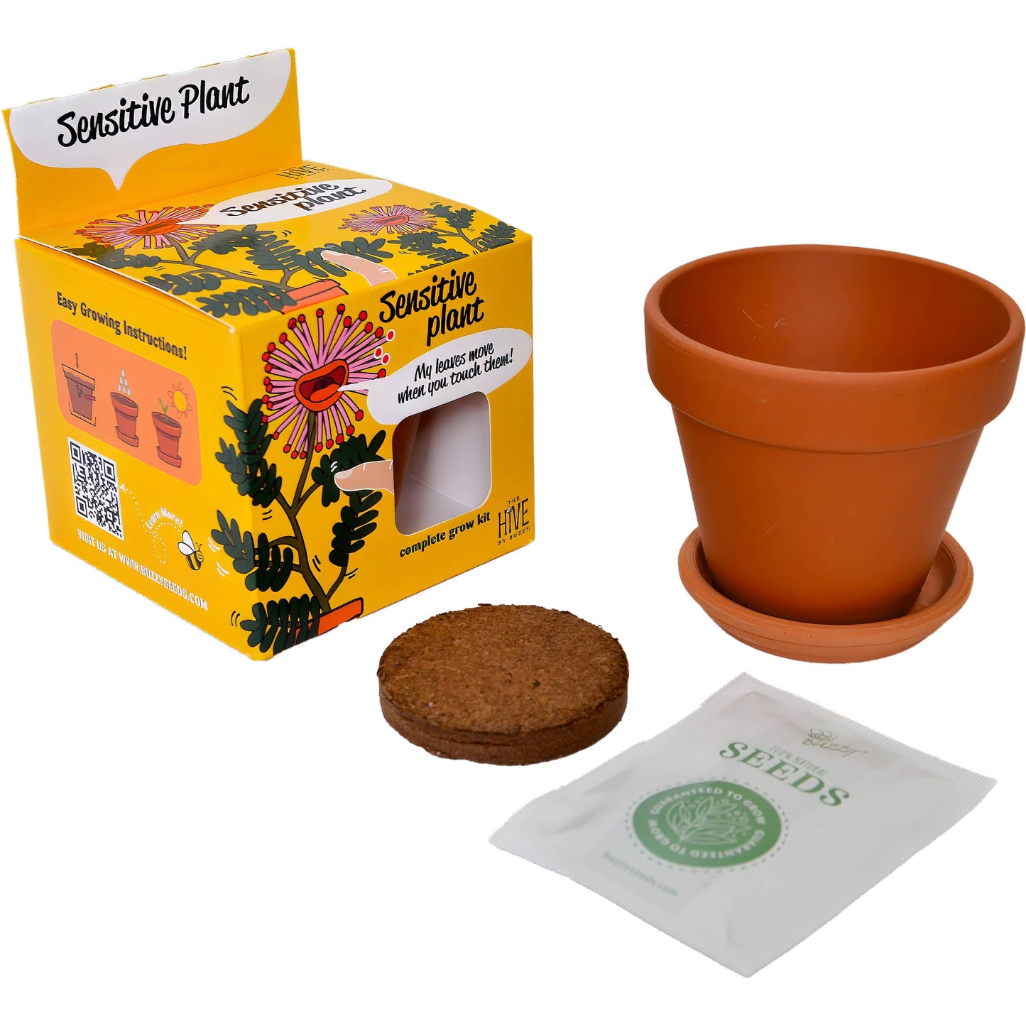 Sensitive Plant Grow Kit- Mimosa Pudica