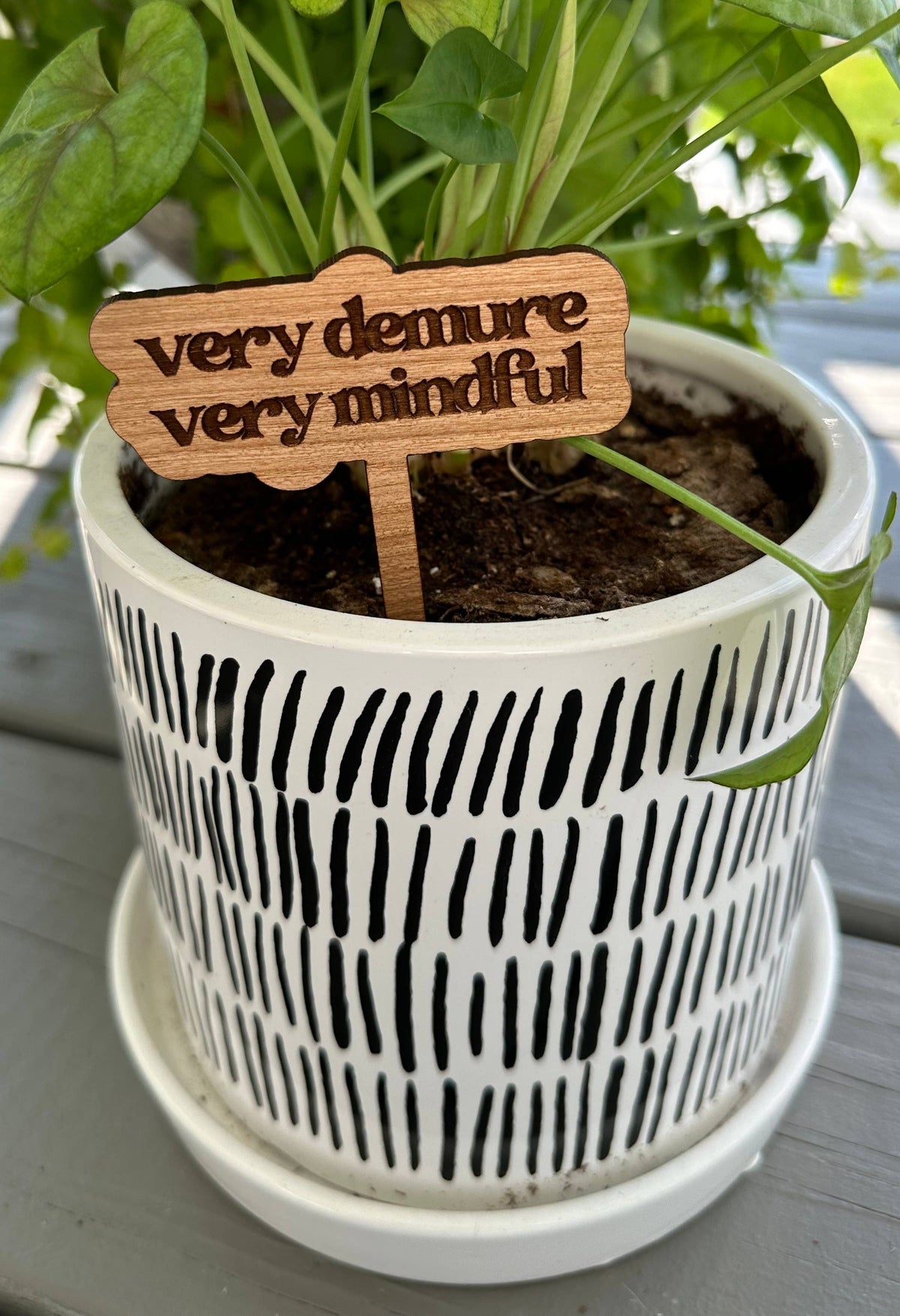 Punny Plant Stake: Day drinker