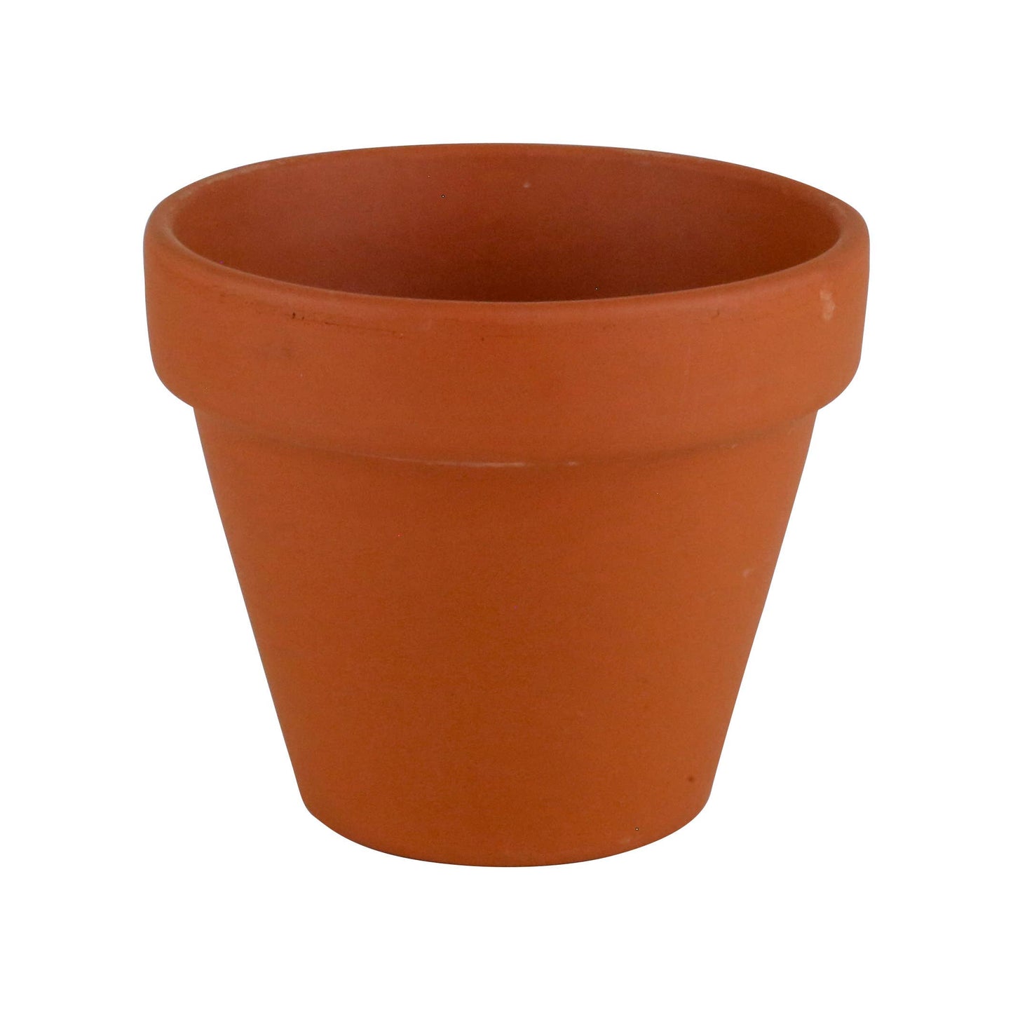 Holiday Spruce Tree Grow Kit