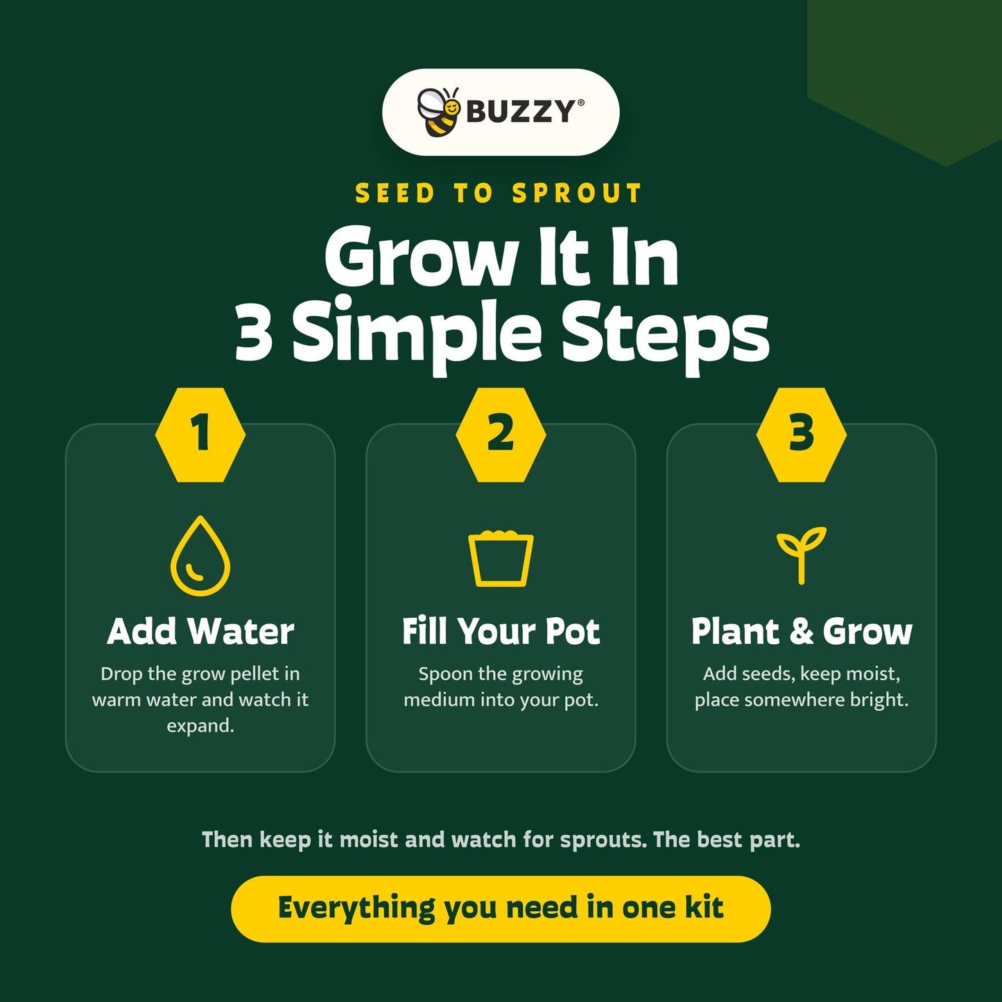 Sensitive Plant Grow Kit- Mimosa Pudica