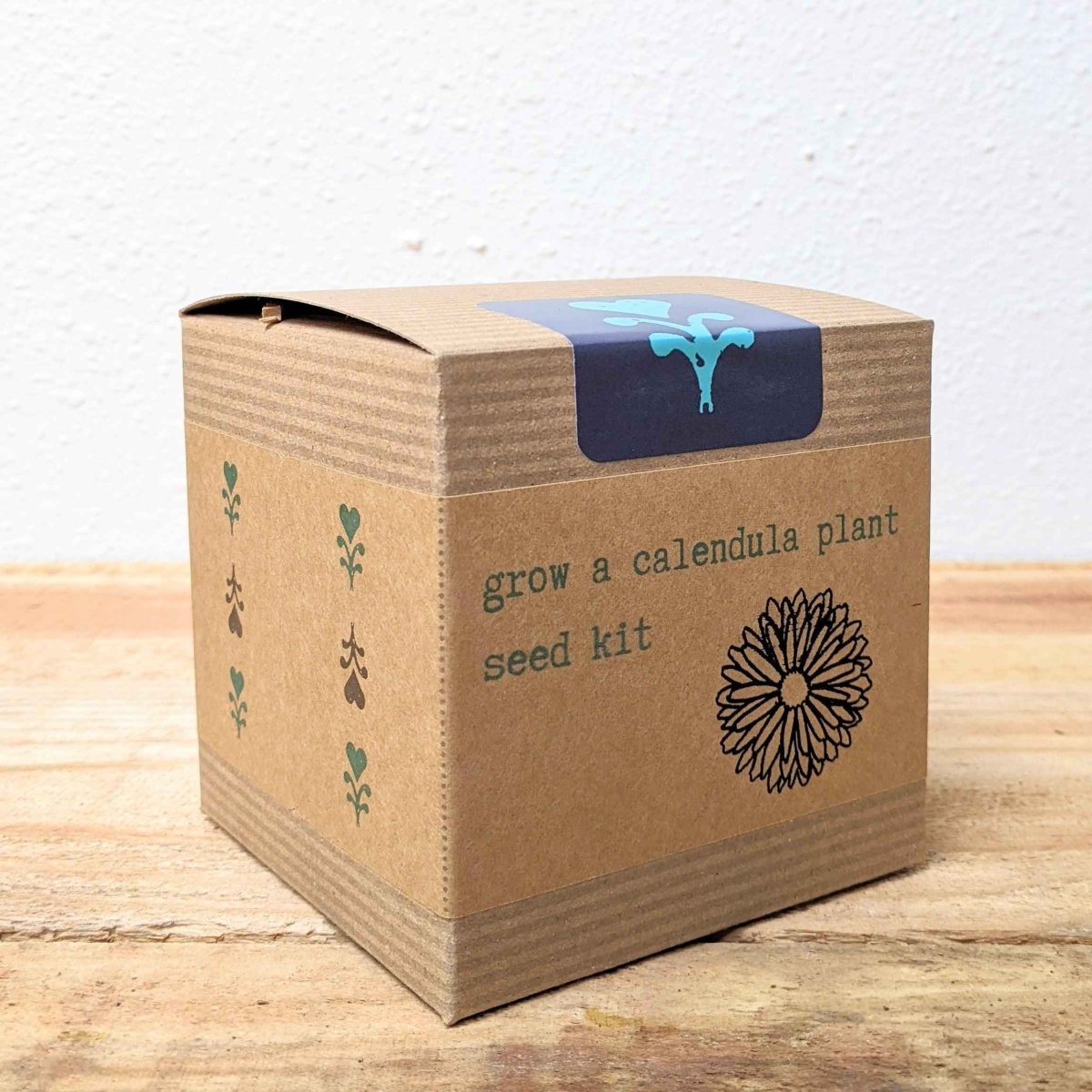 Calendula Beginner Grow Kit, photo 5