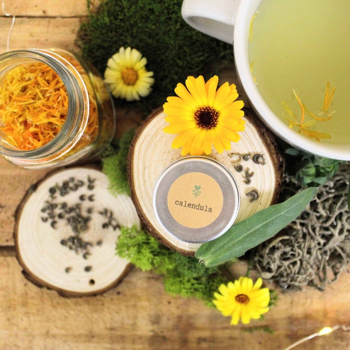 Calendula Beginner Grow Kit, photo 3