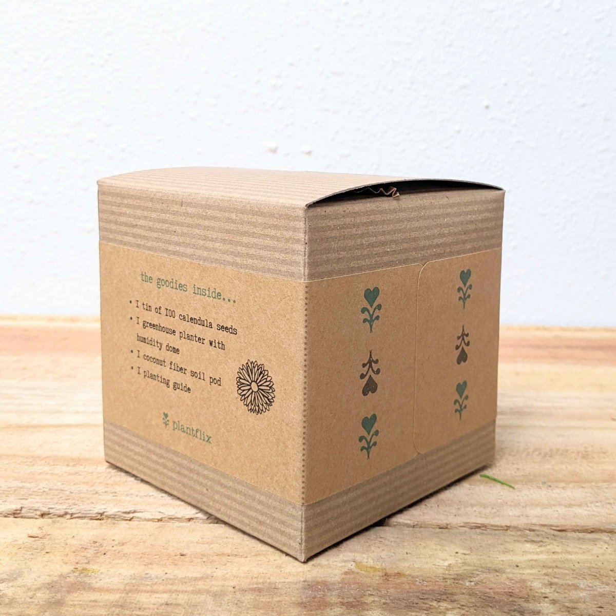 Calendula Beginner Grow Kit, photo 6