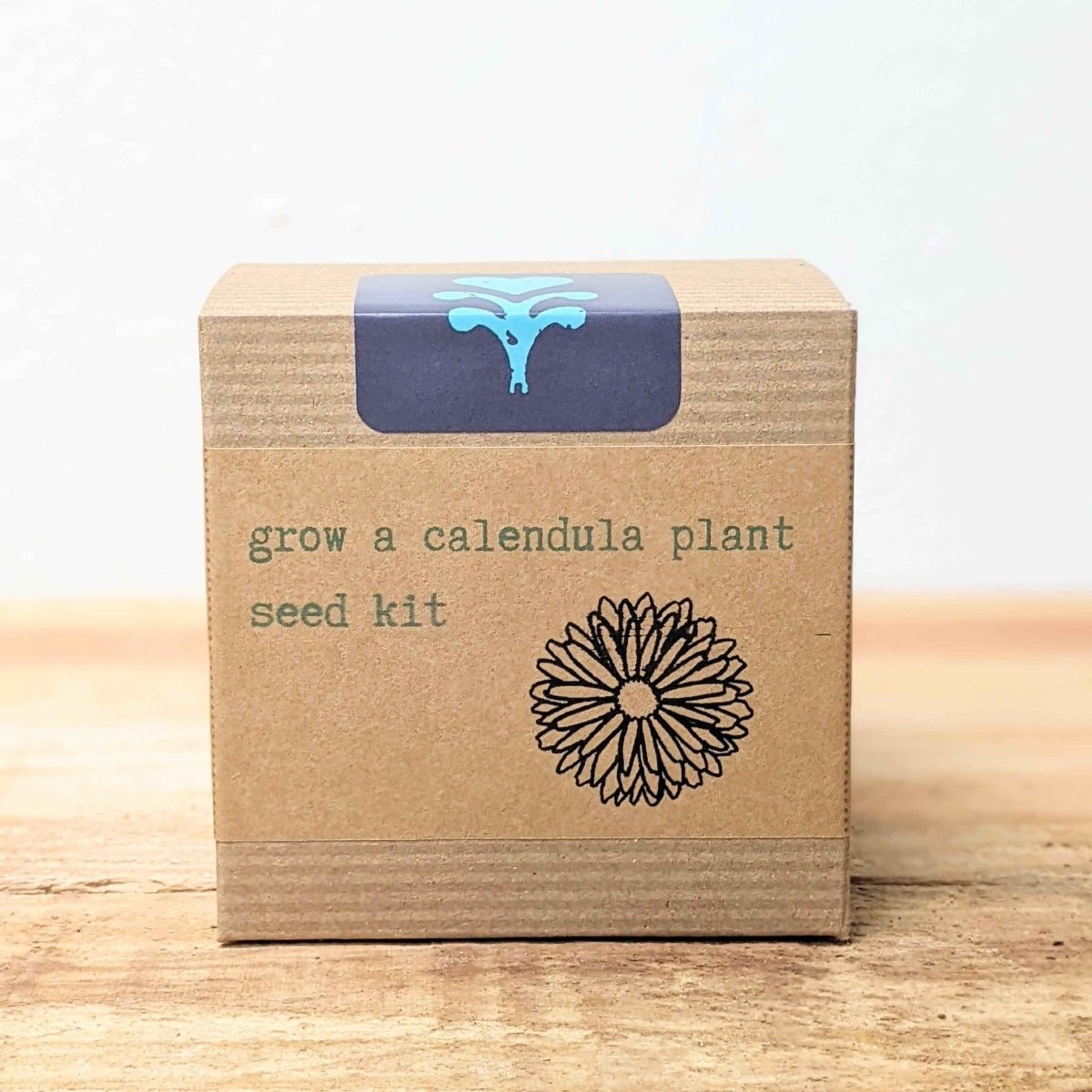 Calendula Beginner Grow Kit, photo 4