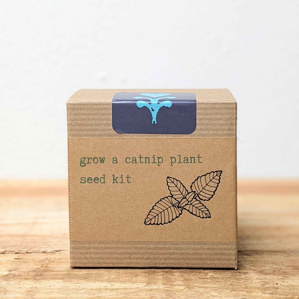 Catnip Beginner Grow Kit, photo 2