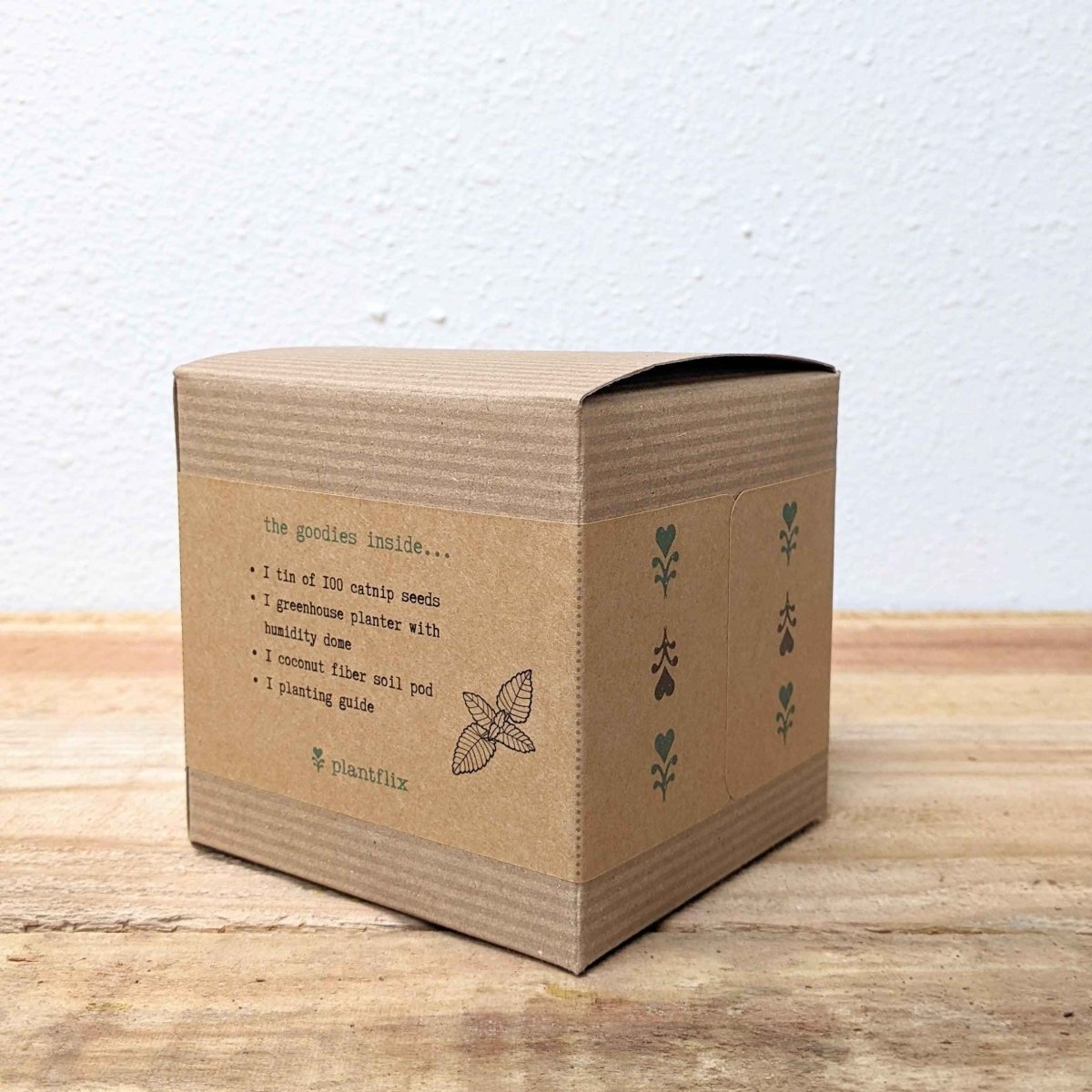Catnip Beginner Grow Kit, photo 3