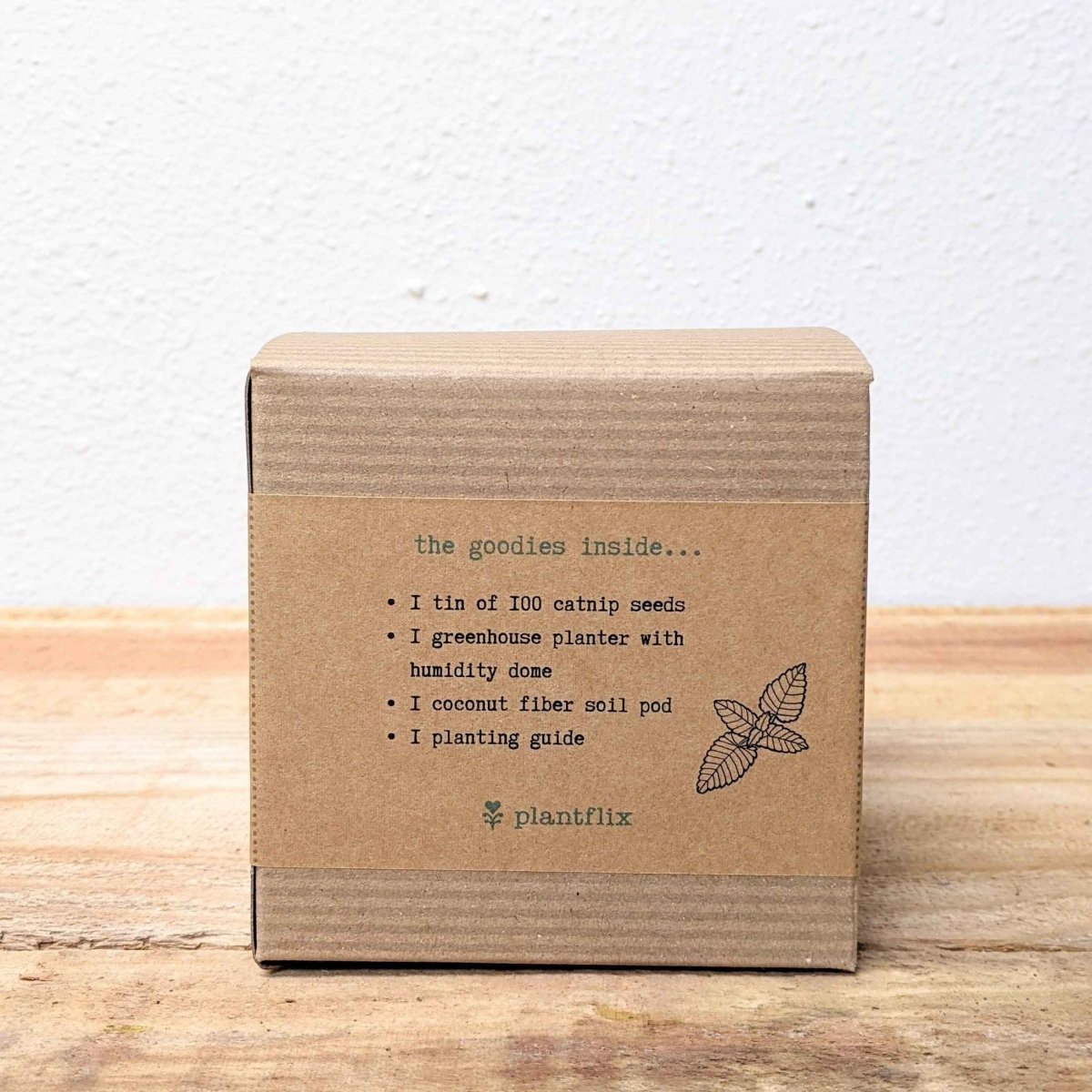 Catnip Beginner Grow Kit, photo 4