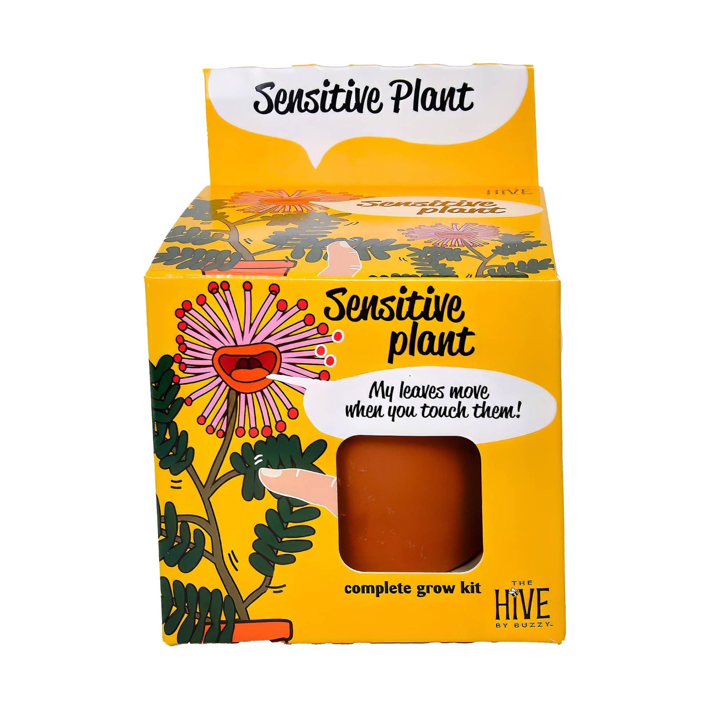 Sensitive Plant Grow Kit- Mimosa Pudica