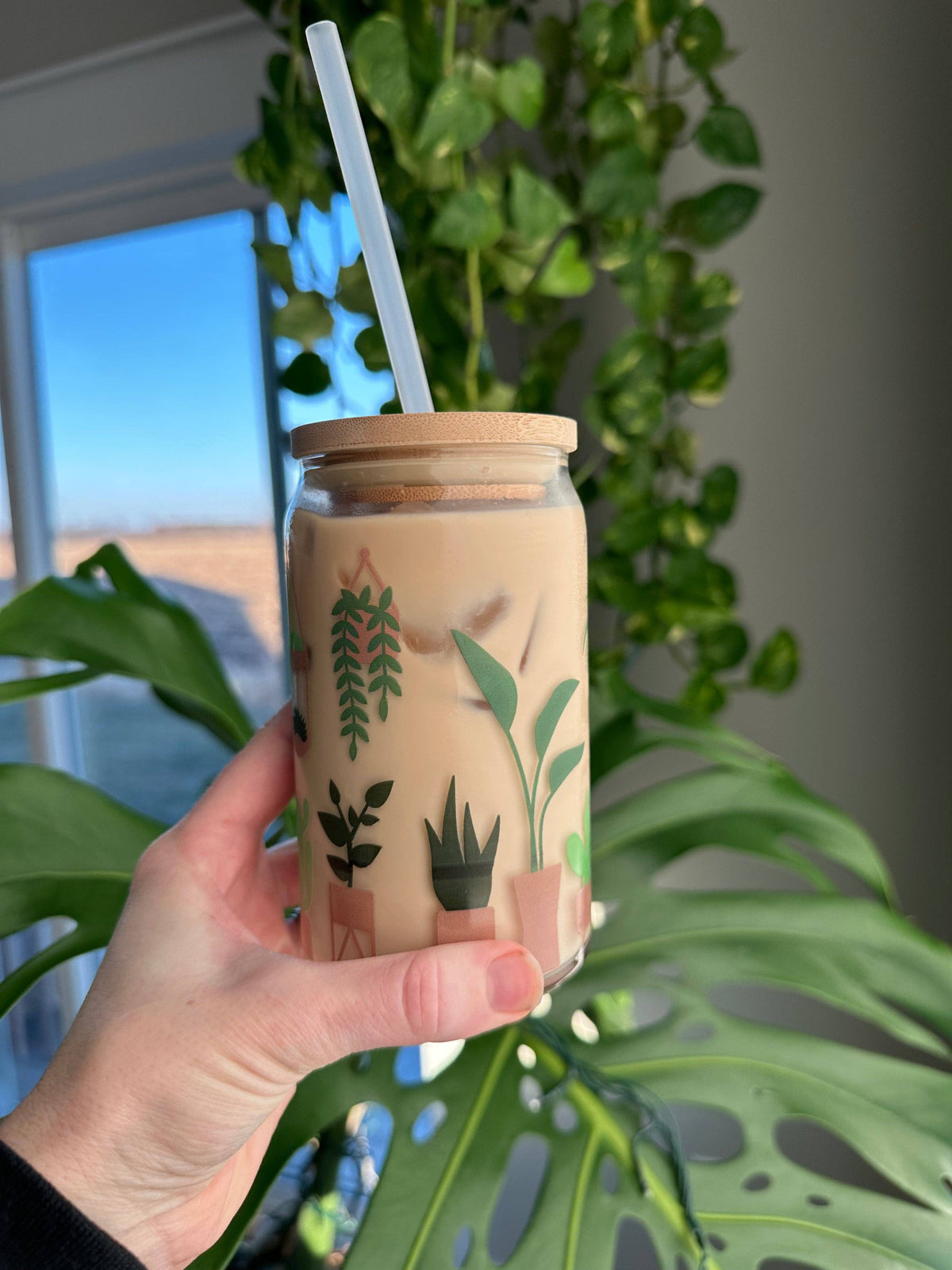 Clear Houseplant Glass