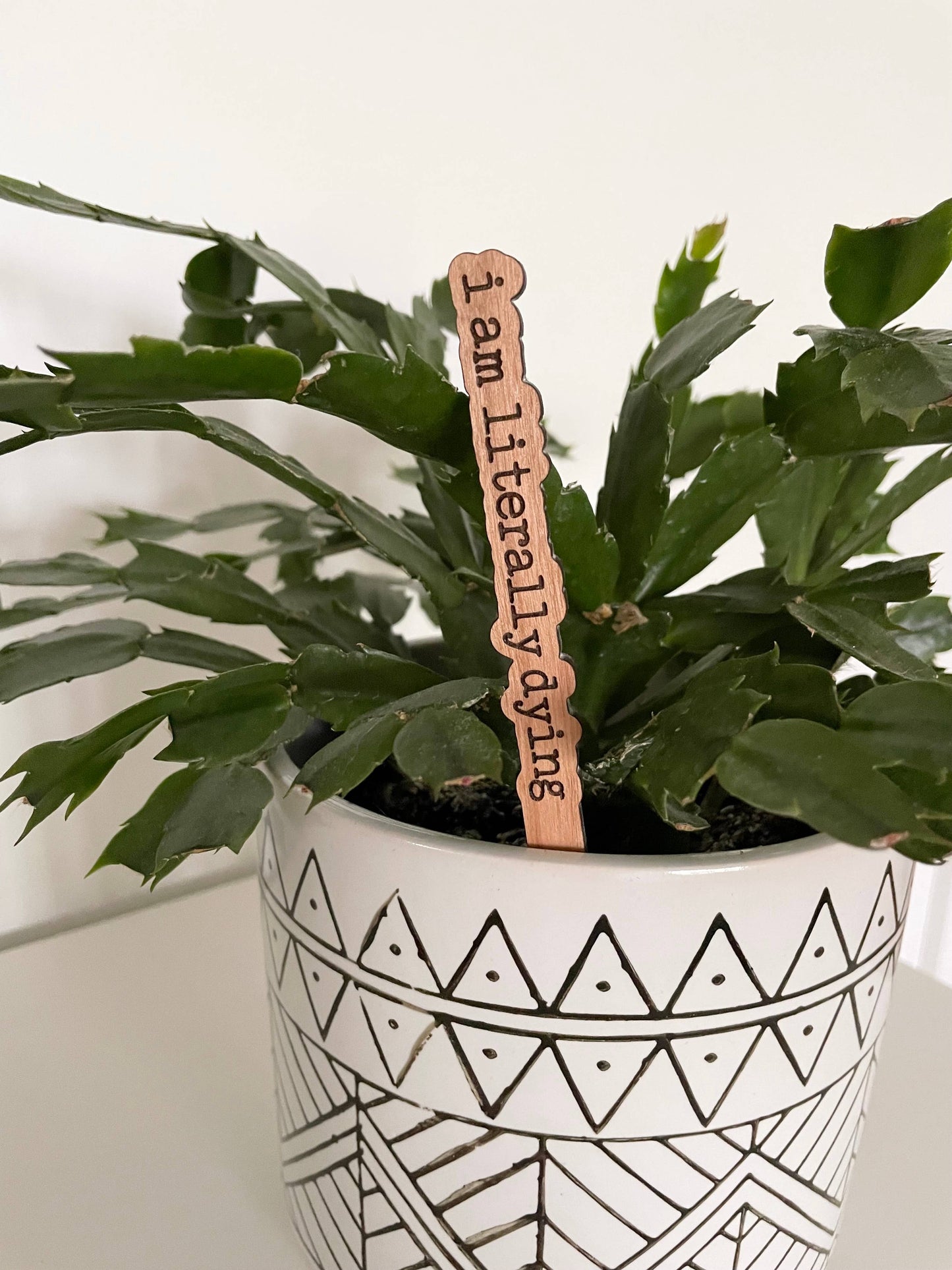 Punny Plant Stake: I need a drink
