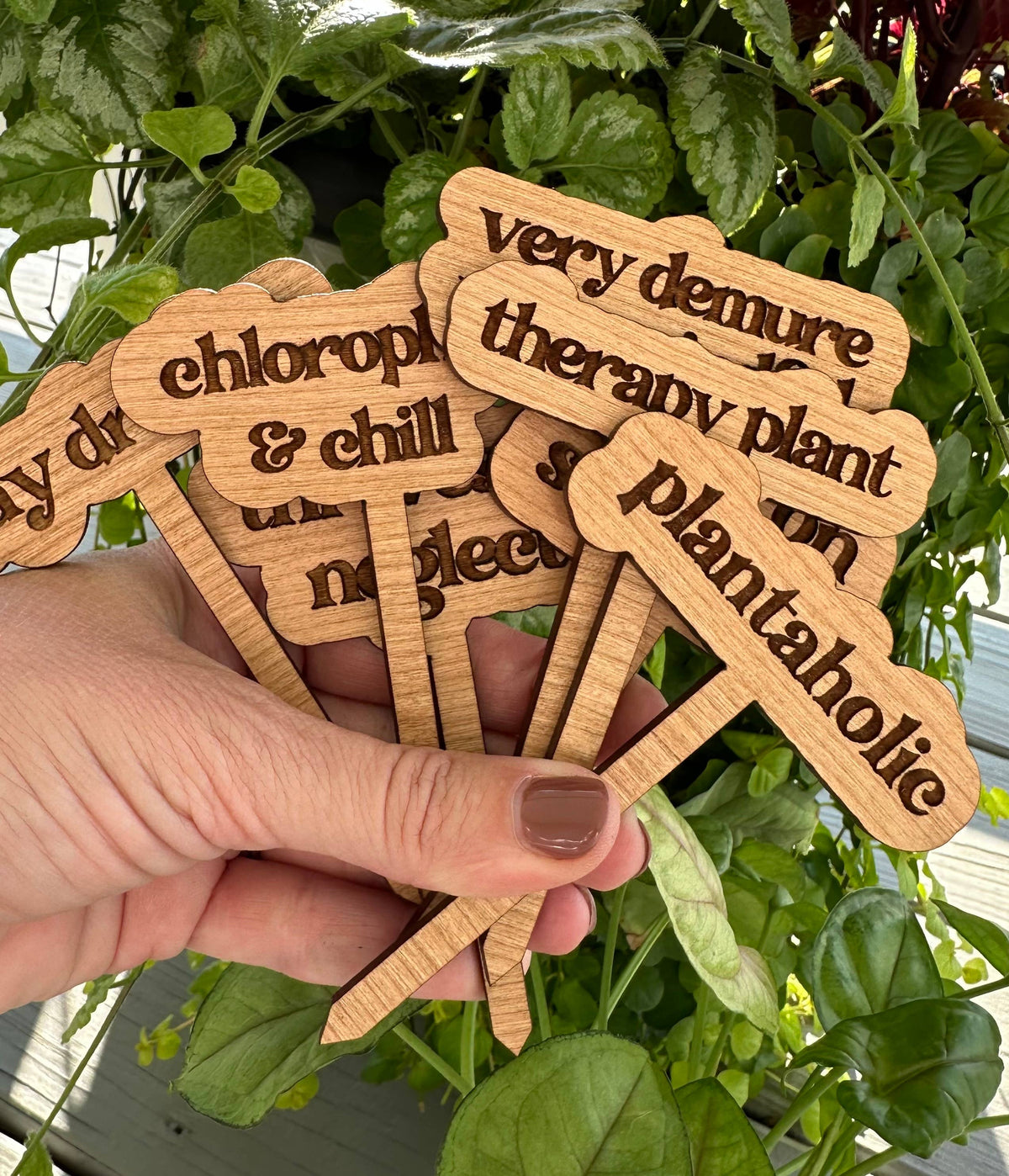 Punny Plant Stake: Day drinker
