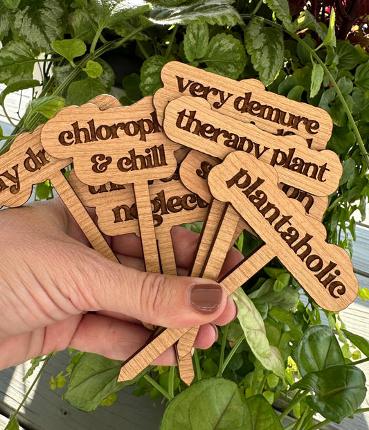 Punny Plant Stake: Day drinker