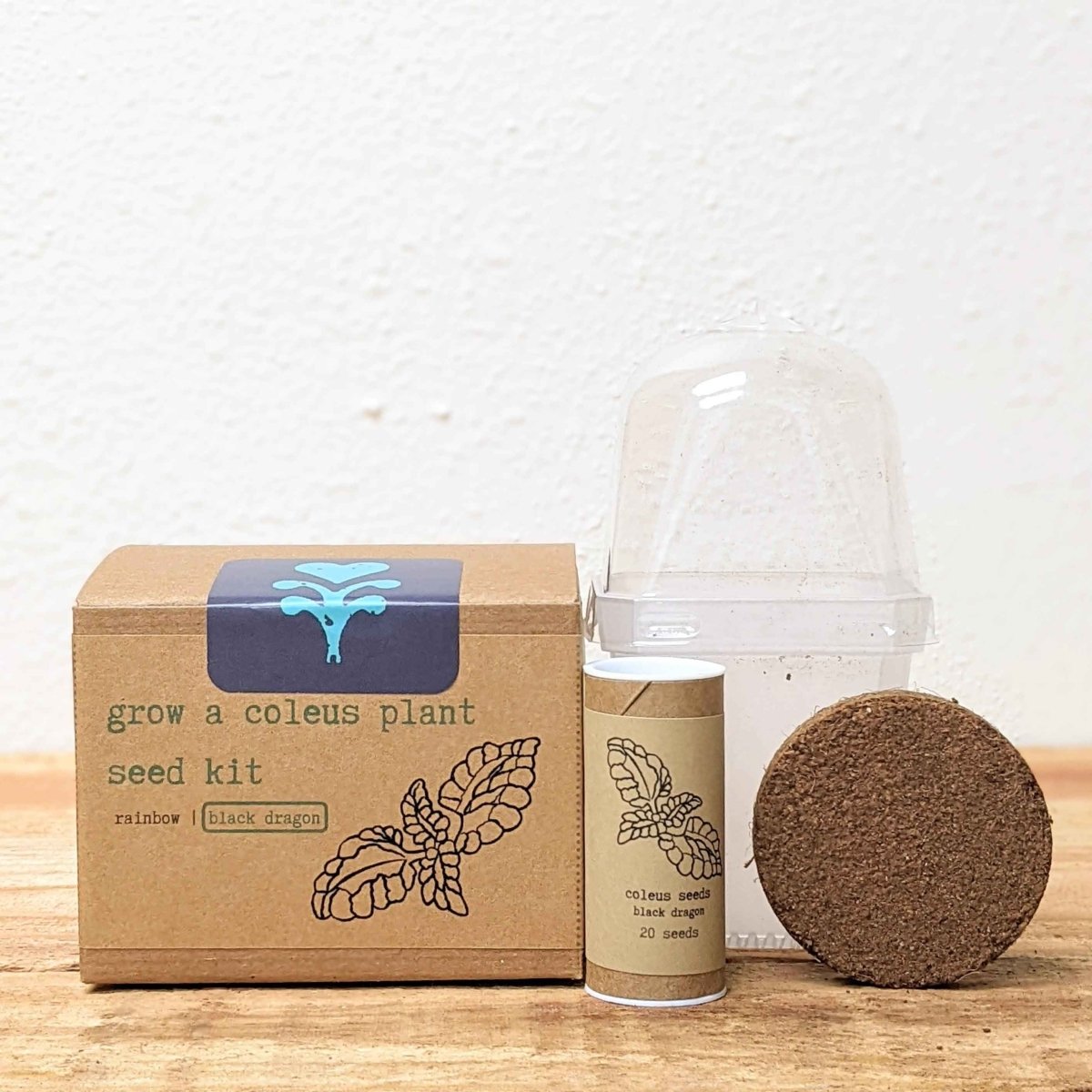 Grow a Coleus Seed Kit, photo 4