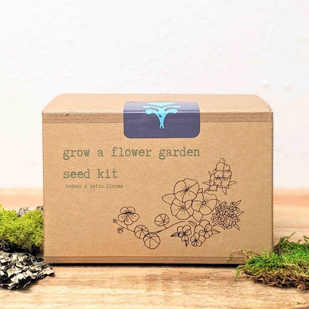 Grow a Flower Garden Indoor Blooms Seed Kit, photo 6