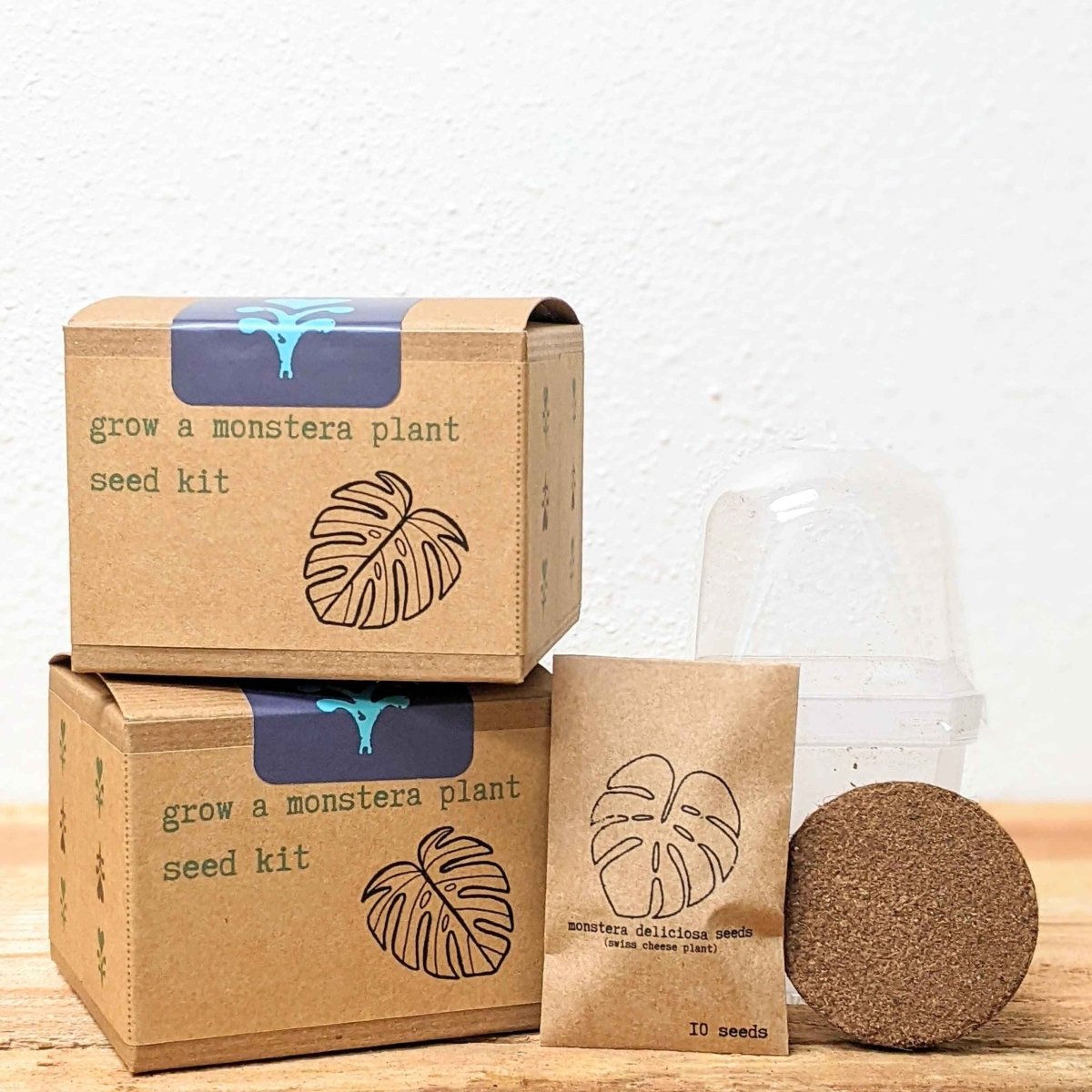 Grow a Monstera Seed Kit, photo 2
